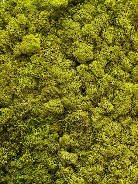 img_8110.jpeg img_8110.jpeg