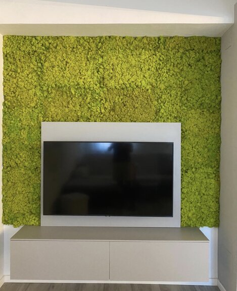 img_9030.jpeg img_9030.jpeg