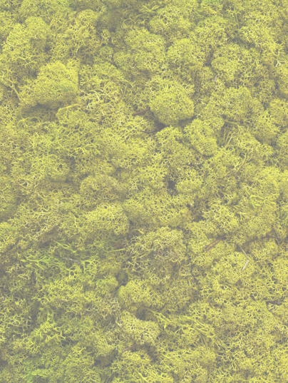 progetto senza titolo progetto senza titolo