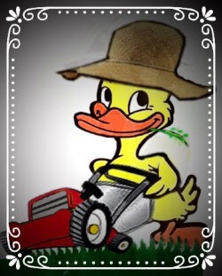 3a1ccf66-aded-4684-912f-9dedaceab86f 3a1ccf66-aded-4684-912f-9dedaceab86f