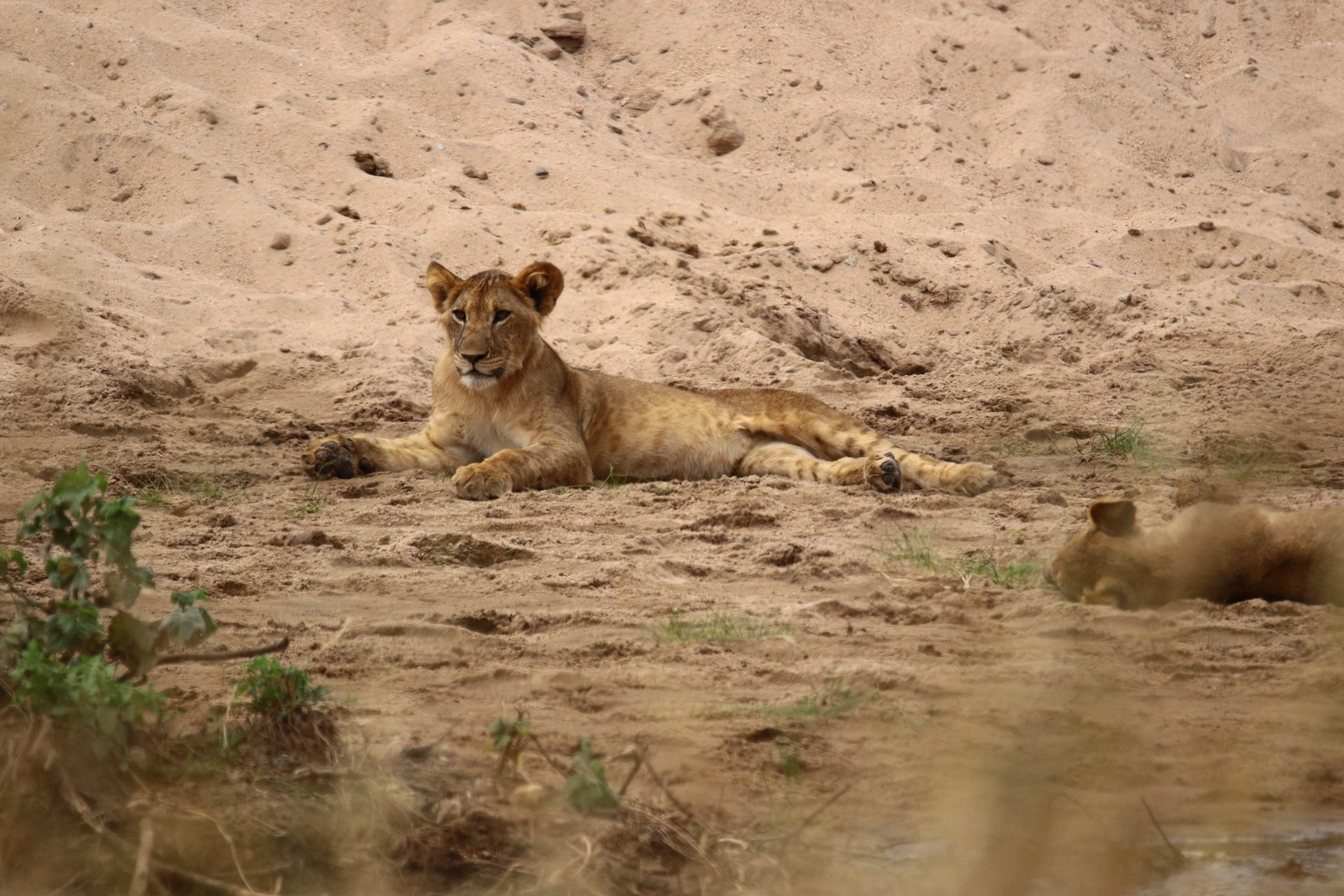 cacc5cb6-4924-43cb-8e14-ad2522cf6988.jpg cacc5cb6-4924-43cb-8e14-ad2522cf6988.jpg