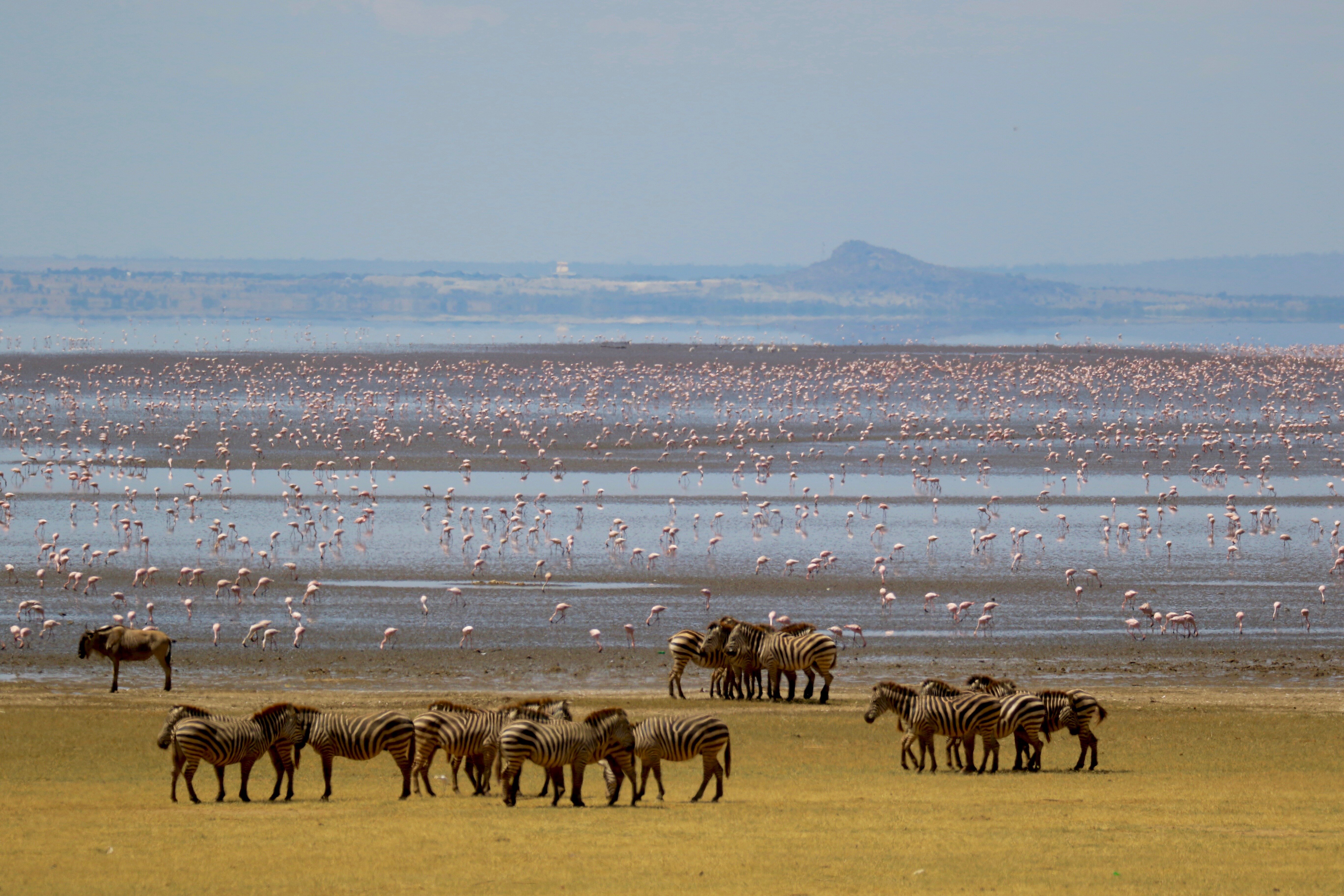 c10abc85-887a-4560-94ac-b0e48dc91ae4.jpg c10abc85-887a-4560-94ac-b0e48dc91ae4.jpg