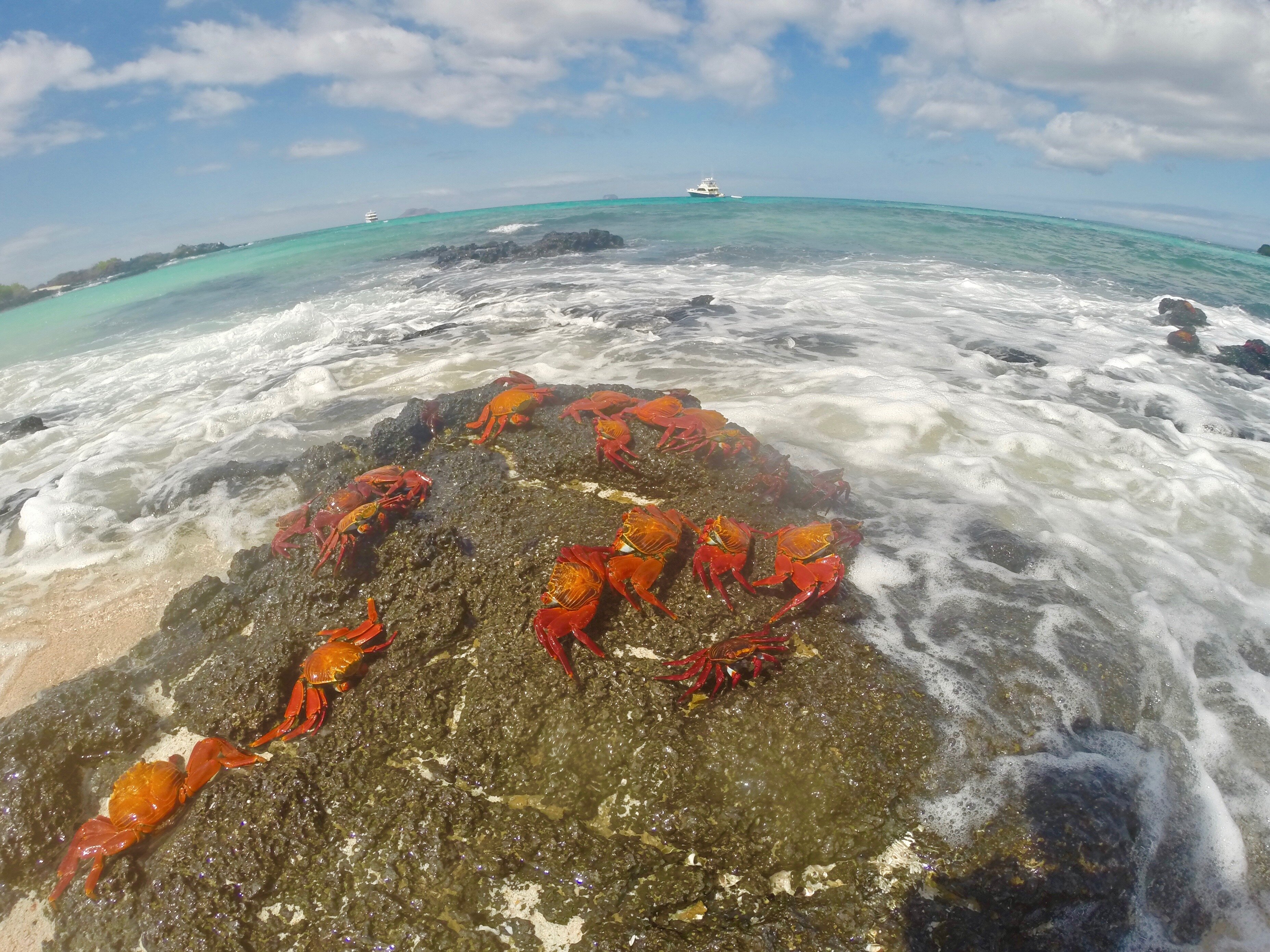 deebbf3b-6e61-40e4-bb5a-5b97a0cbae02.jpg deebbf3b-6e61-40e4-bb5a-5b97a0cbae02.jpg