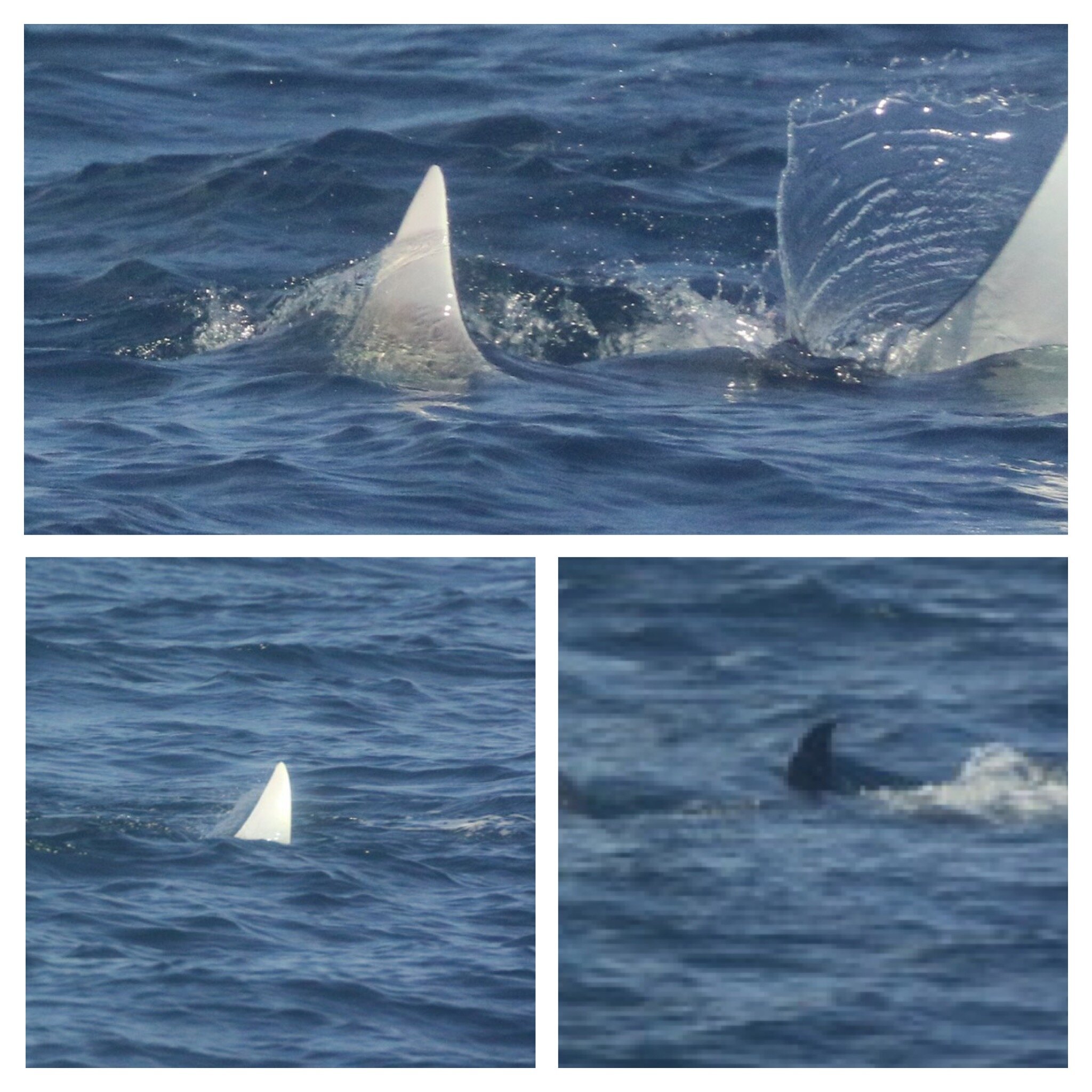 5759ae01-8e85-4bbc-b2d3-5355fa3768fd.jpg 5759ae01-8e85-4bbc-b2d3-5355fa3768fd.jpg