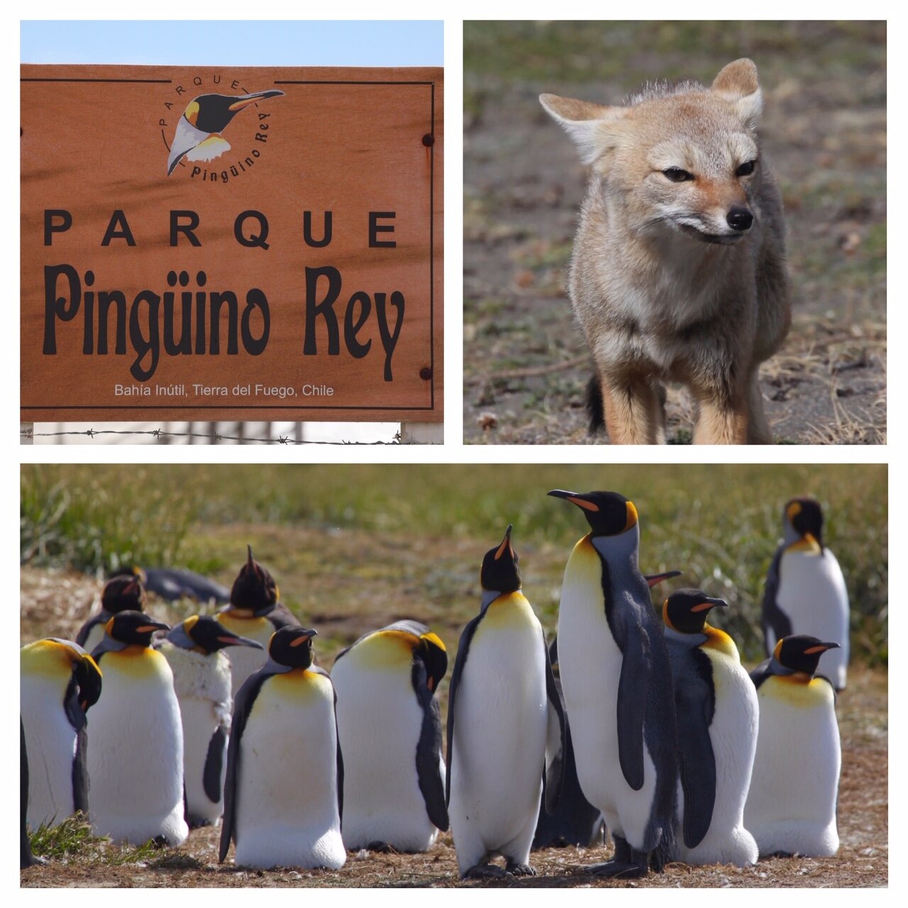 2d27b0b3-fa36-4555-97ec-cba4bd88055c.jpg 2d27b0b3-fa36-4555-97ec-cba4bd88055c.jpg