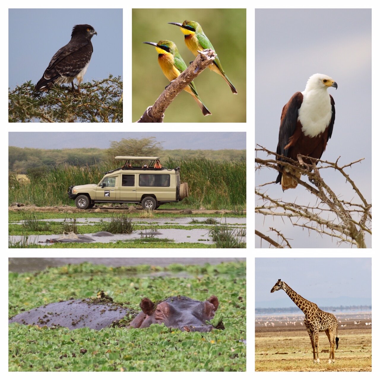 50b1baf2-f897-4aa4-98c2-f88c250806f3.jpg 50b1baf2-f897-4aa4-98c2-f88c250806f3.jpg