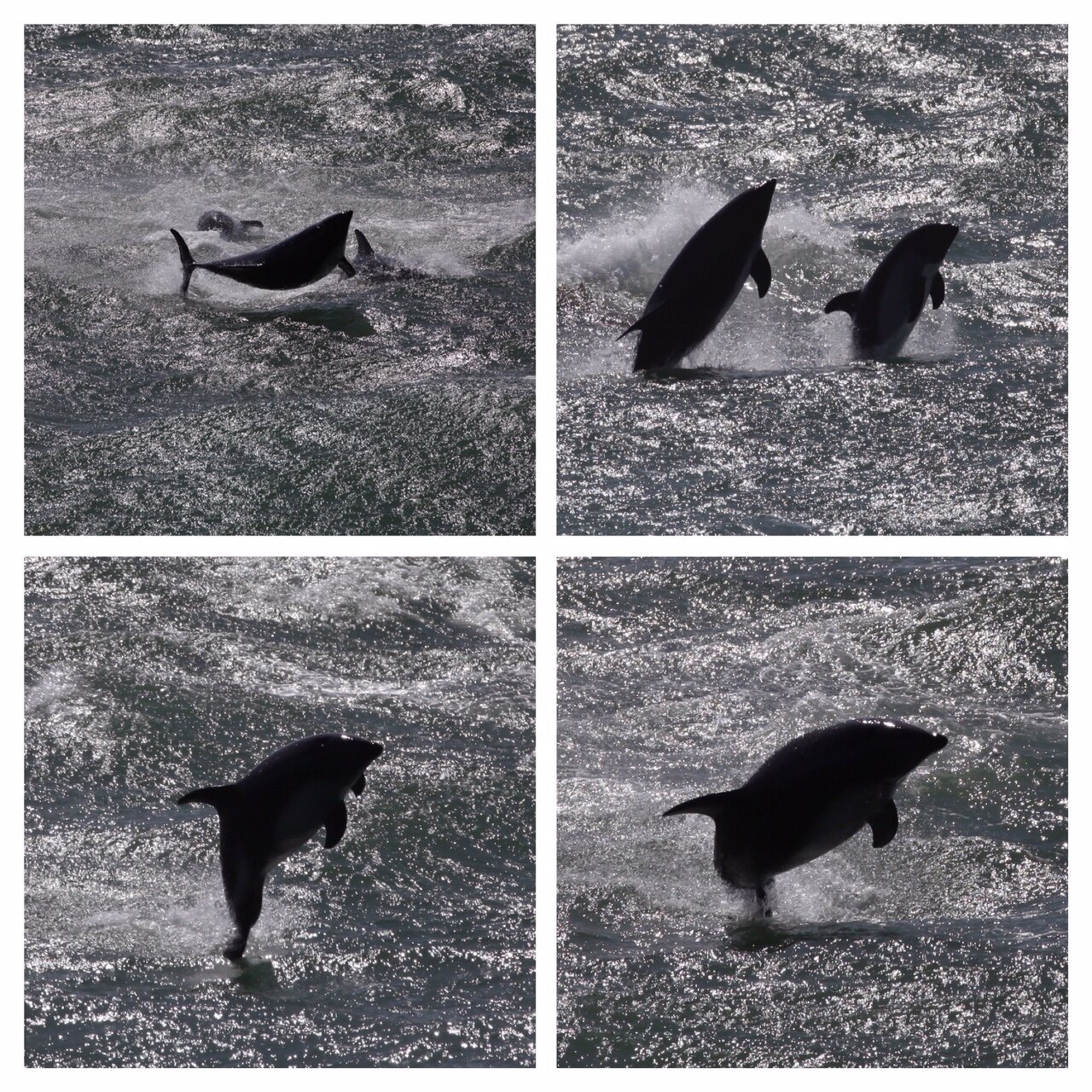 37eddf2d-c232-407e-a629-686717617bd1.jpg 37eddf2d-c232-407e-a629-686717617bd1.jpg