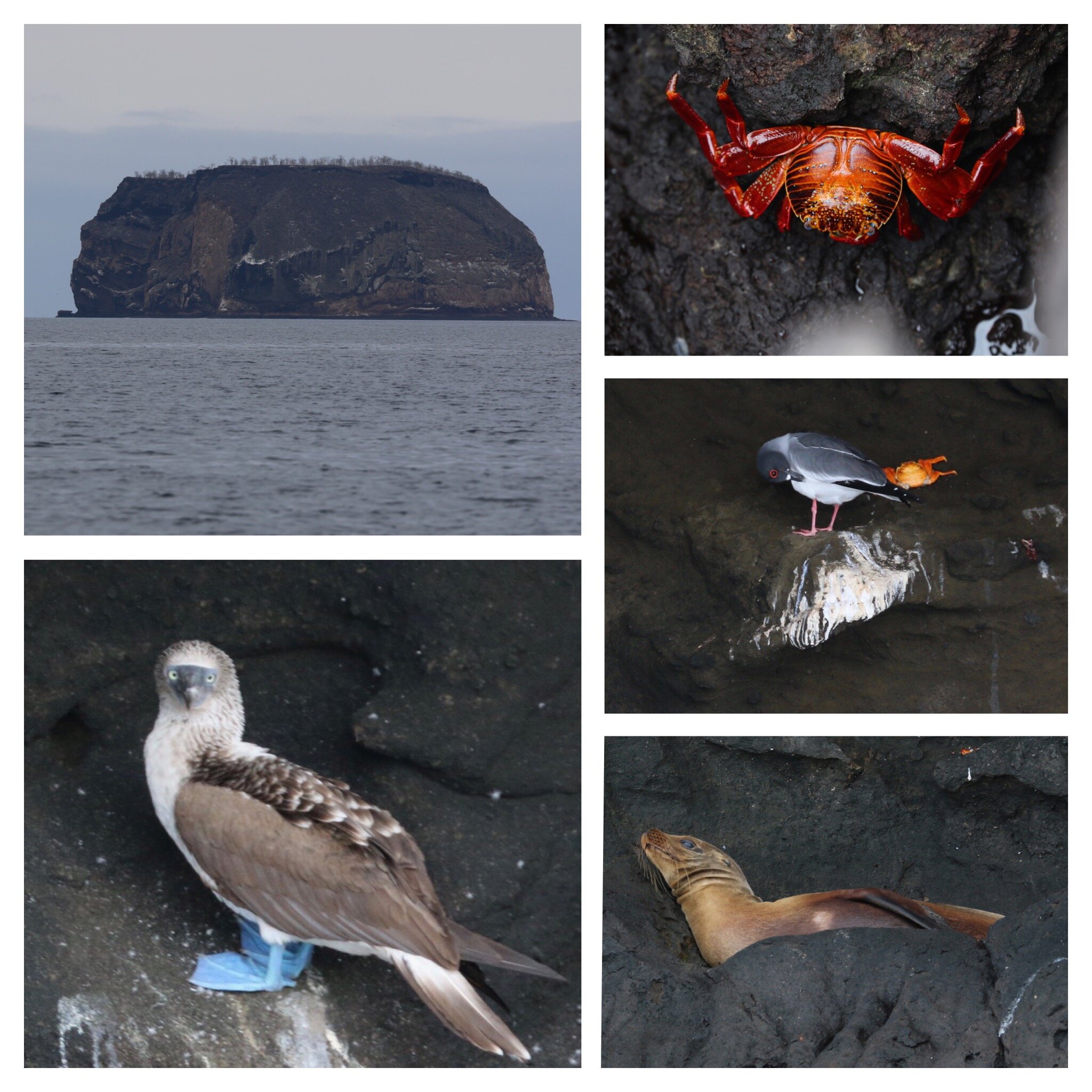 c031bb28-38e6-4ade-ae14-47624df67682.jpg c031bb28-38e6-4ade-ae14-47624df67682.jpg