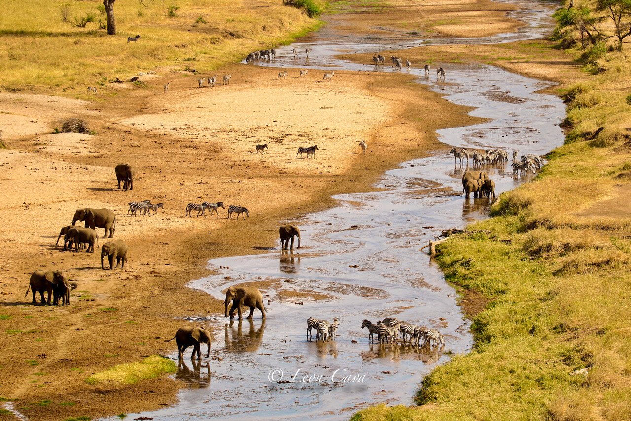 5dce1cd0-8aa2-4f5f-9278-c2383d542c1f.jpeg 5dce1cd0-8aa2-4f5f-9278-c2383d542c1f.jpeg