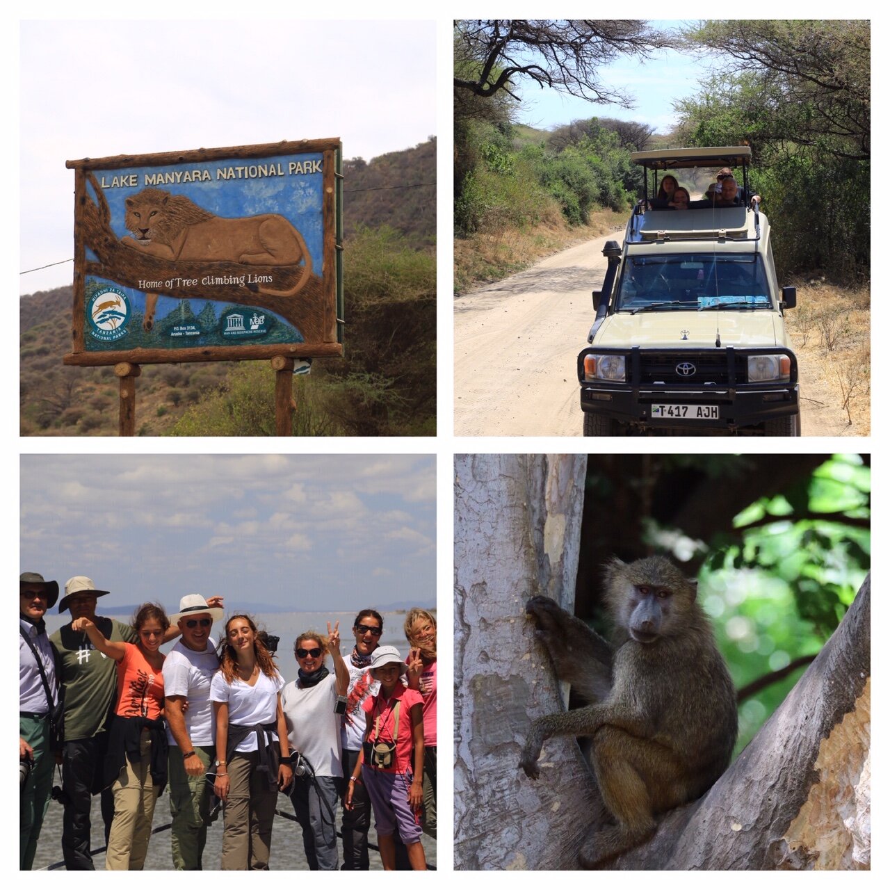 b2193059-7a1d-4e51-88a3-f03a14981475.jpg b2193059-7a1d-4e51-88a3-f03a14981475.jpg