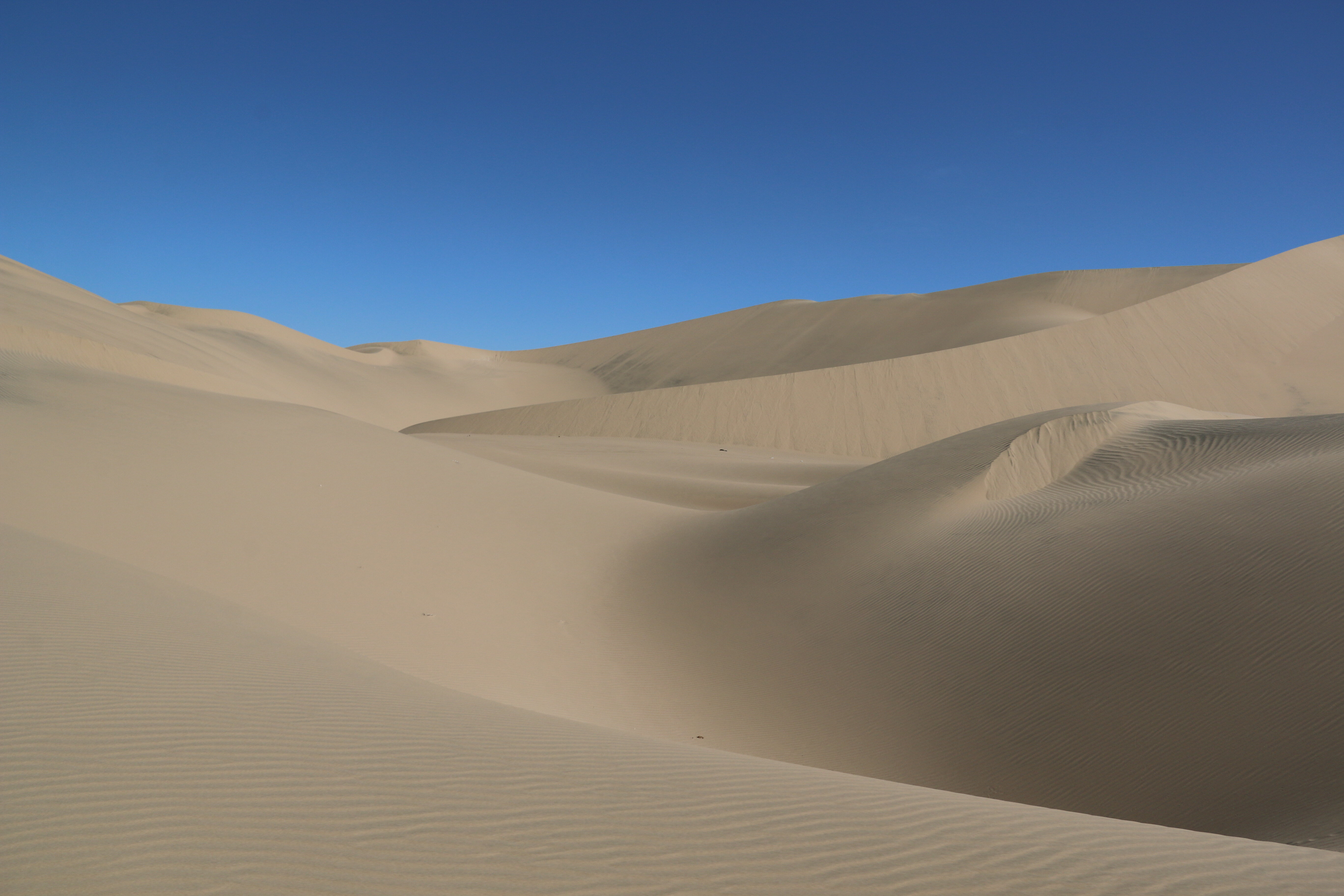 6e1a1668-c18b-4e66-b0ac-77f9fd66752a.jpeg 6e1a1668-c18b-4e66-b0ac-77f9fd66752a.jpeg