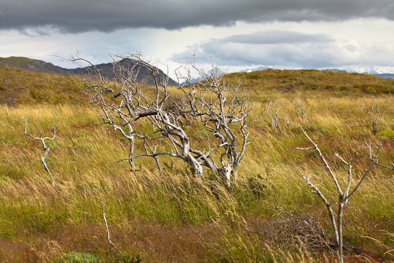 fa8ab91c-0232-4575-99c3-299336012a02.jpeg fa8ab91c-0232-4575-99c3-299336012a02.jpeg