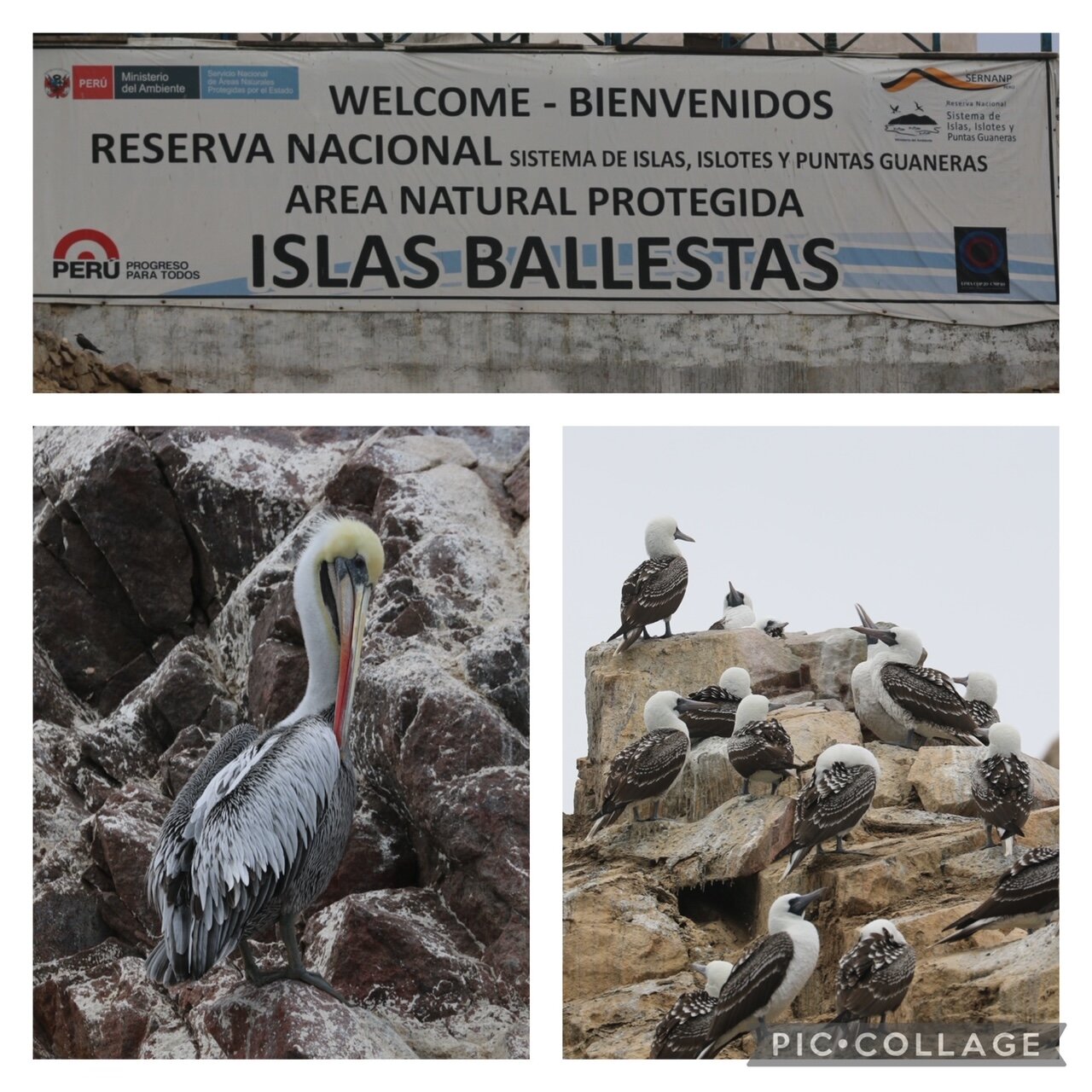 160b8976-8cb7-48b7-9902-232f746d1564.jpg 160b8976-8cb7-48b7-9902-232f746d1564.jpg