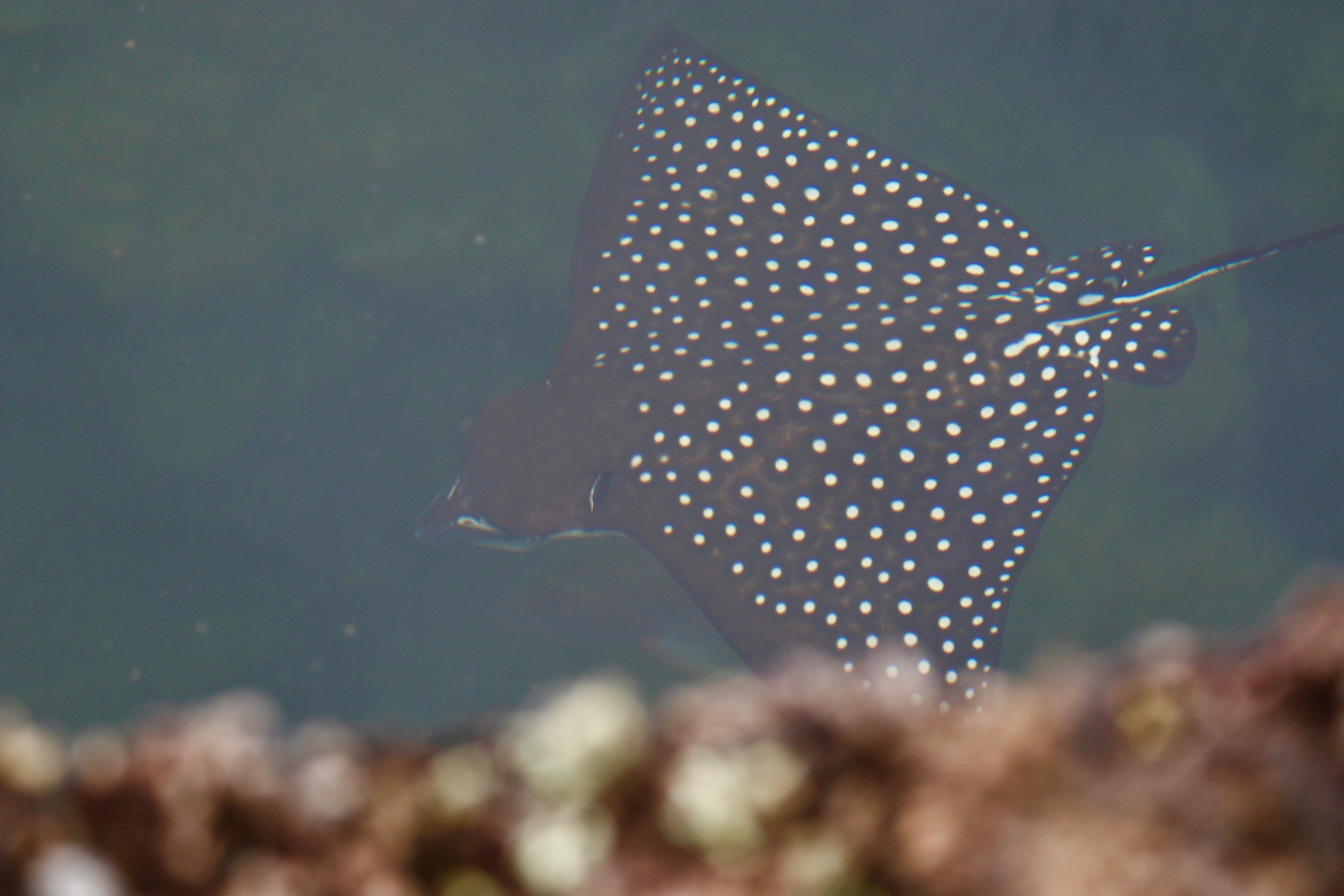 f512bf08-0f5f-43d7-b73b-2ce2c6c72b98.jpg f512bf08-0f5f-43d7-b73b-2ce2c6c72b98.jpg