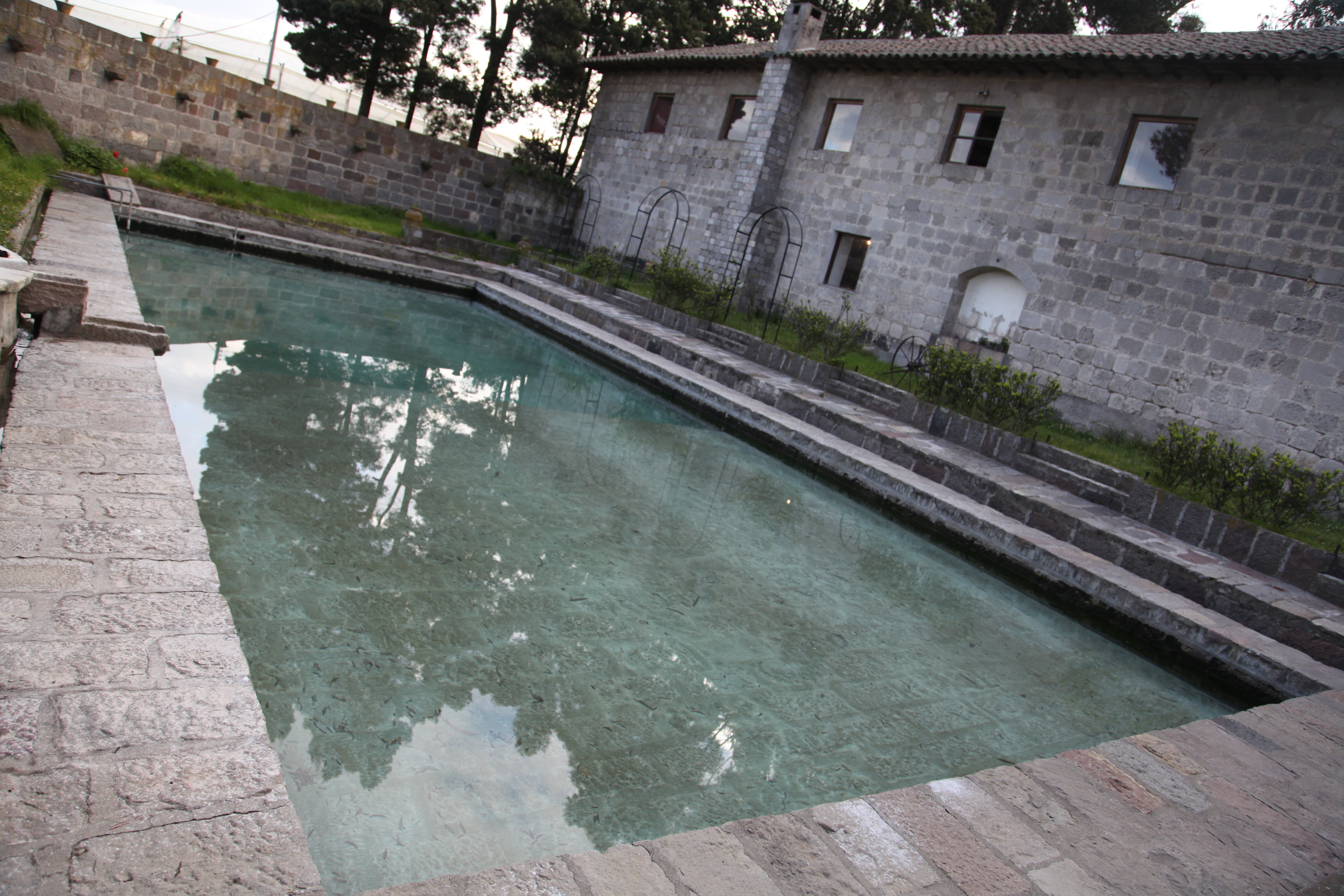 img_9619.jpg img_9619.jpg