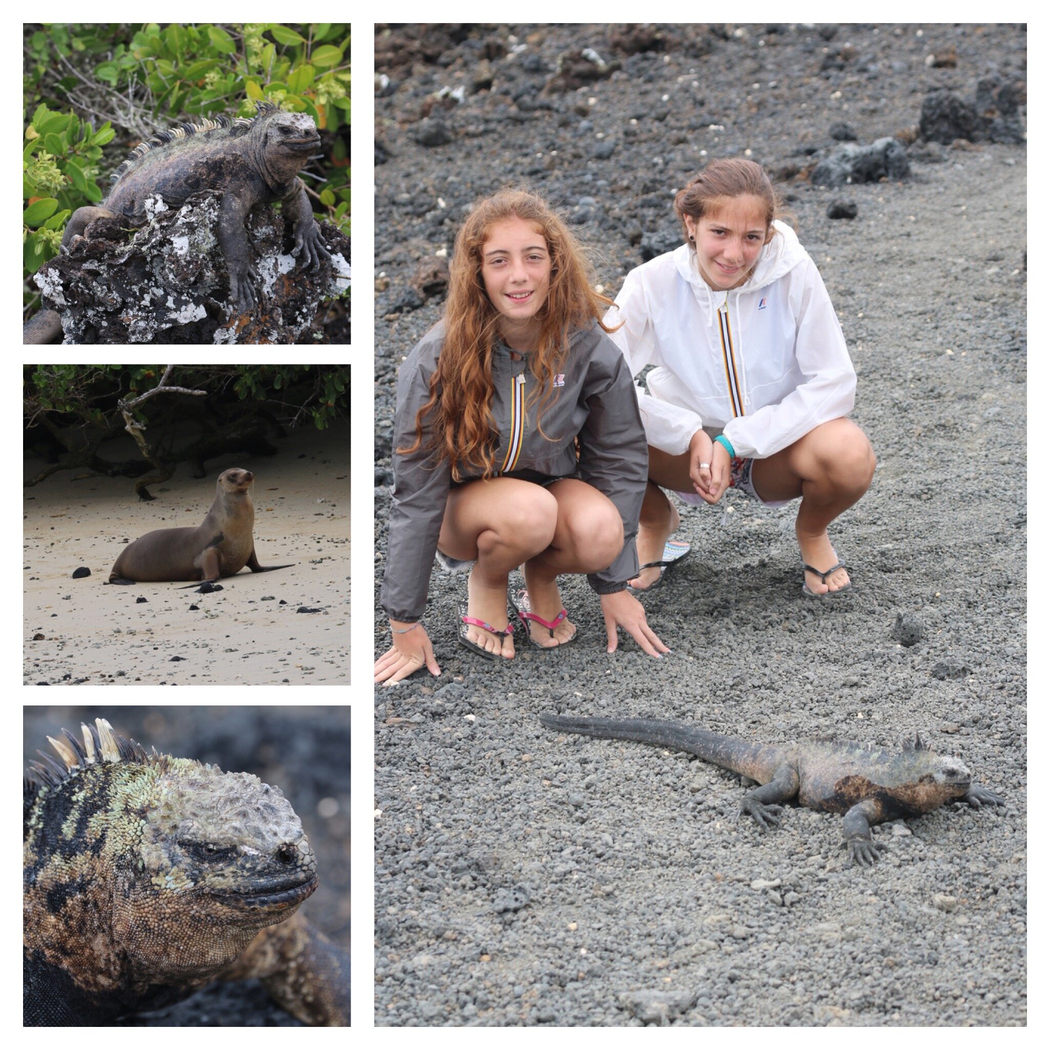 004f2b97-159a-494b-b79f-4e7e2bf01e8f.jpg 004f2b97-159a-494b-b79f-4e7e2bf01e8f.jpg