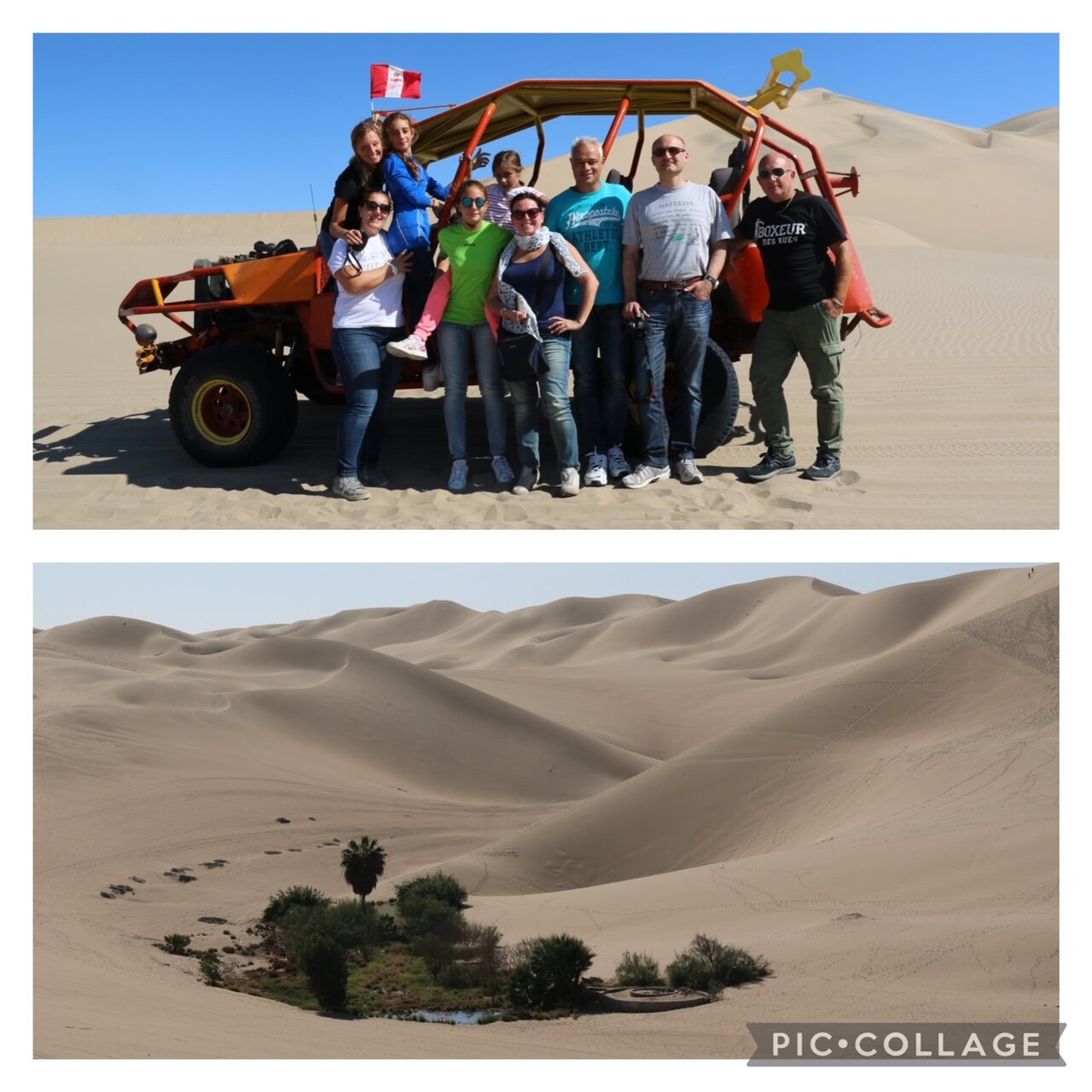 6300d785-20aa-4276-9625-d1eff0d3210a.jpg 6300d785-20aa-4276-9625-d1eff0d3210a.jpg