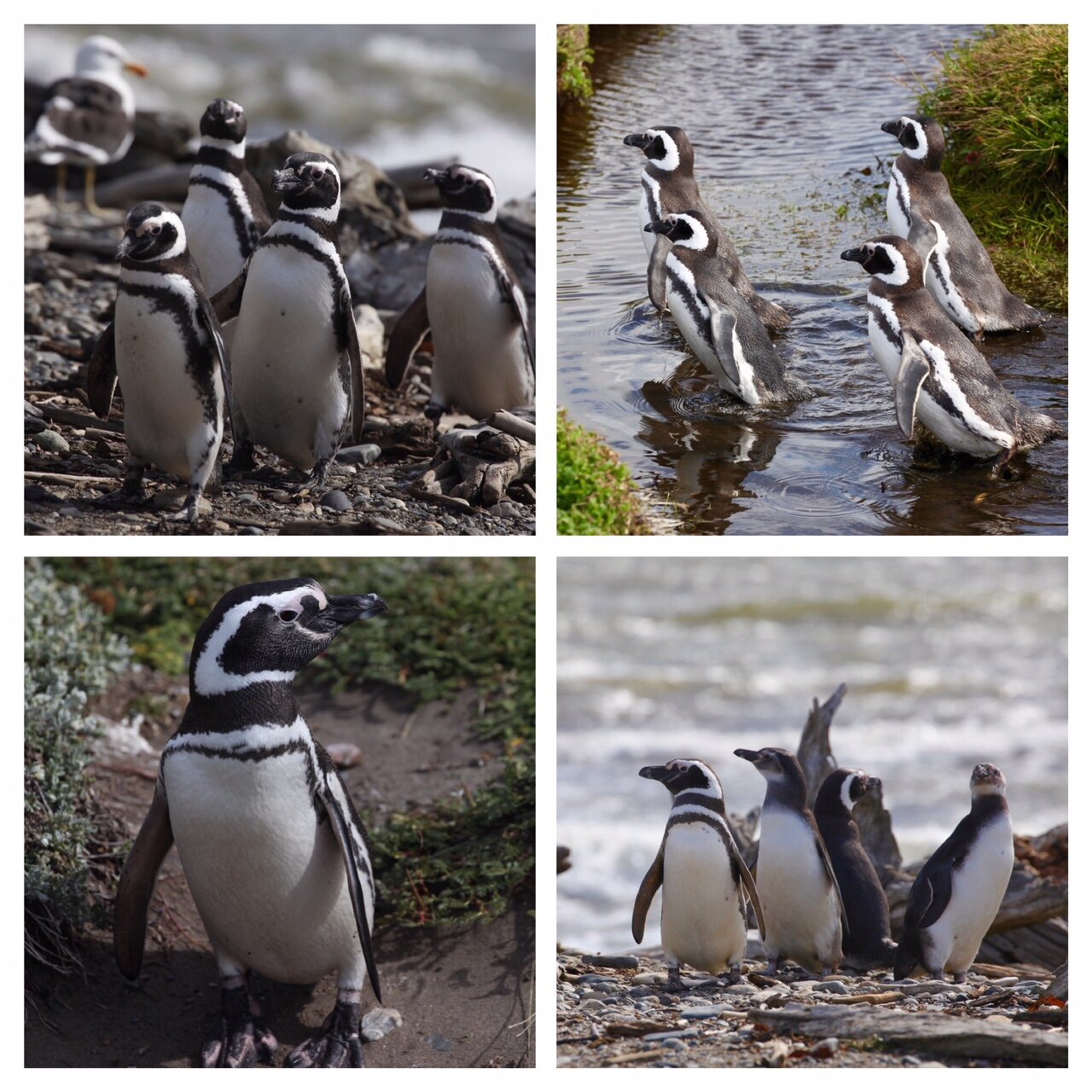 54df0fee-7078-43e4-9d19-03d3273bdcb4.jpg 54df0fee-7078-43e4-9d19-03d3273bdcb4.jpg