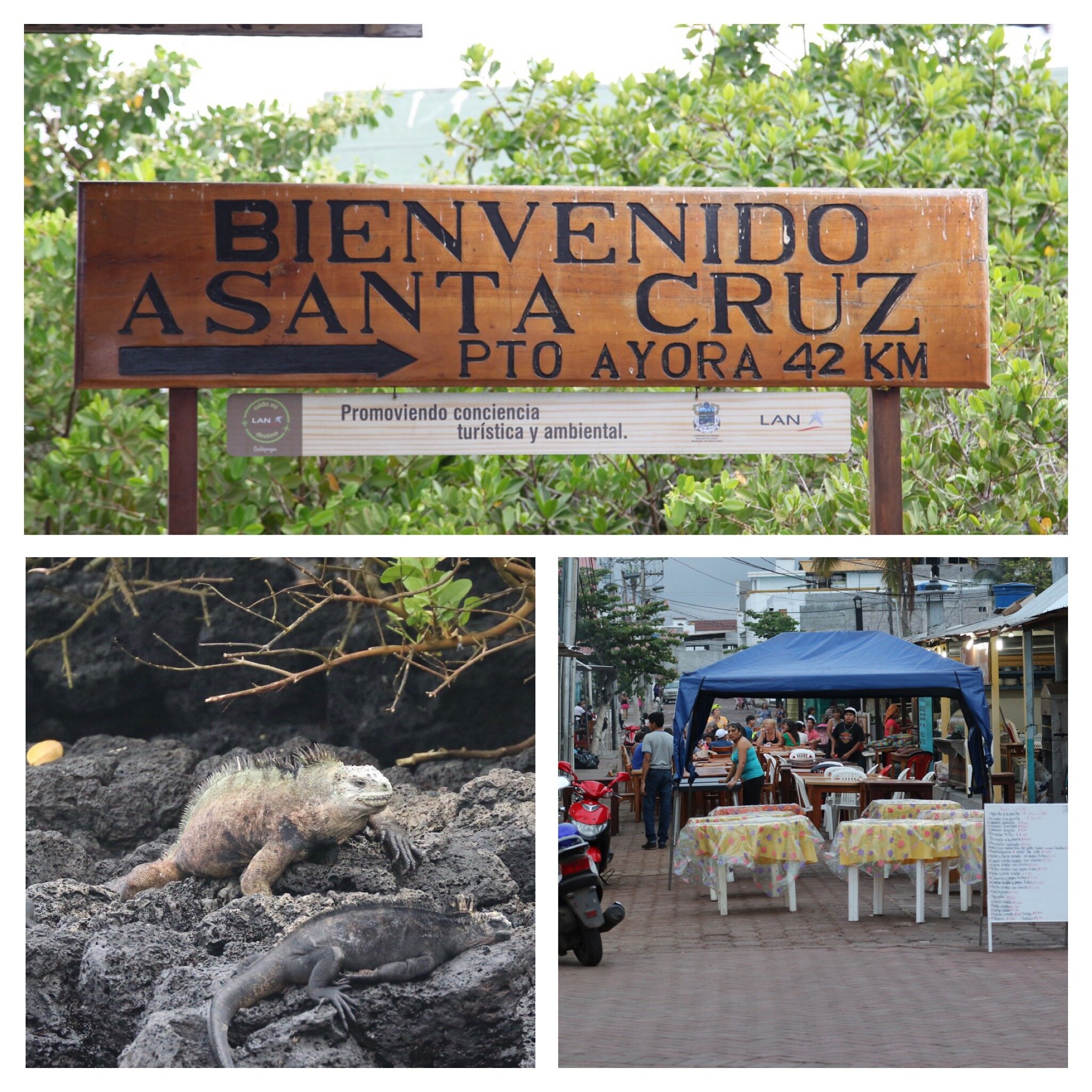 44c5fd79-a4fa-4f3a-a114-0a9feec8cbde.jpg 44c5fd79-a4fa-4f3a-a114-0a9feec8cbde.jpg