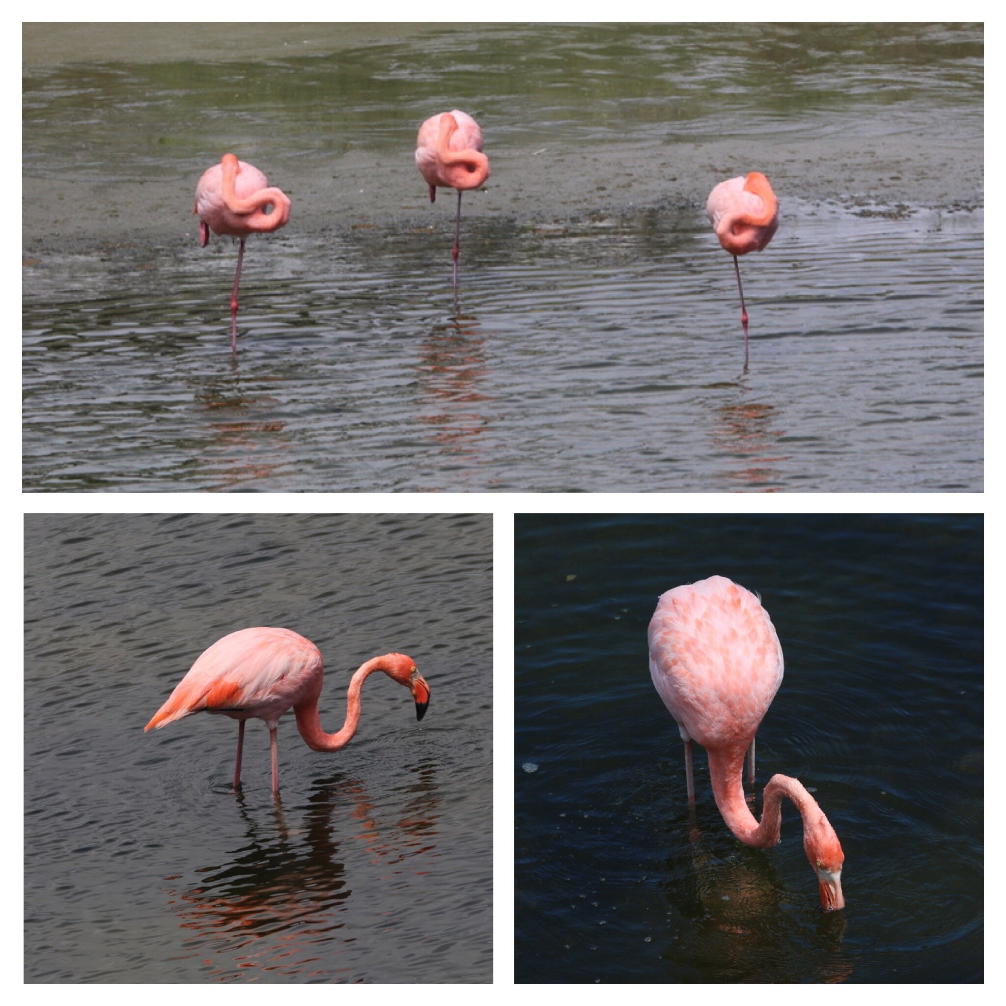 9d63640c-c99e-402a-8dc1-31d451aedc15.jpg 9d63640c-c99e-402a-8dc1-31d451aedc15.jpg