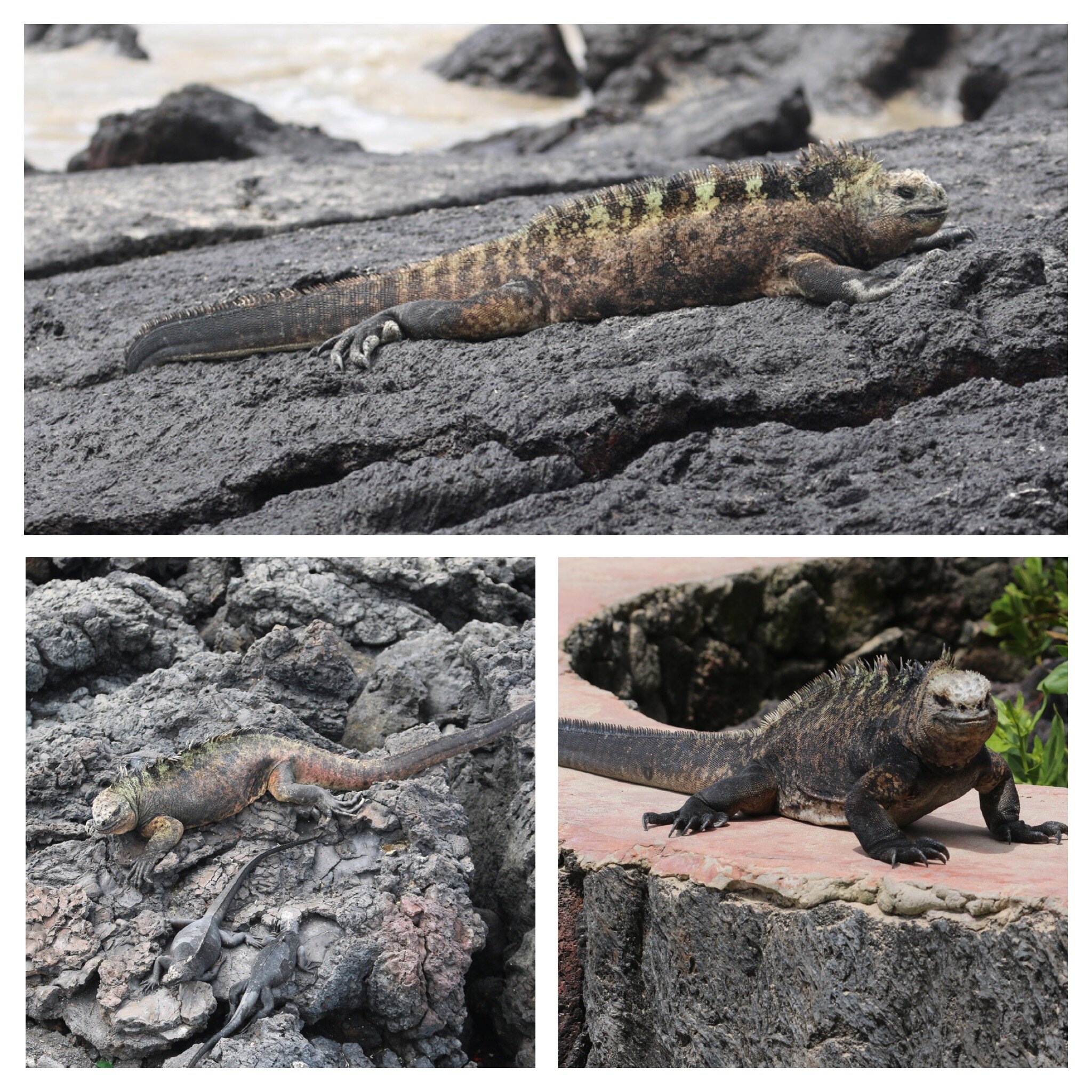 88708a67-bb55-4c5d-8fe0-7df65dc2ed15.jpg 88708a67-bb55-4c5d-8fe0-7df65dc2ed15.jpg