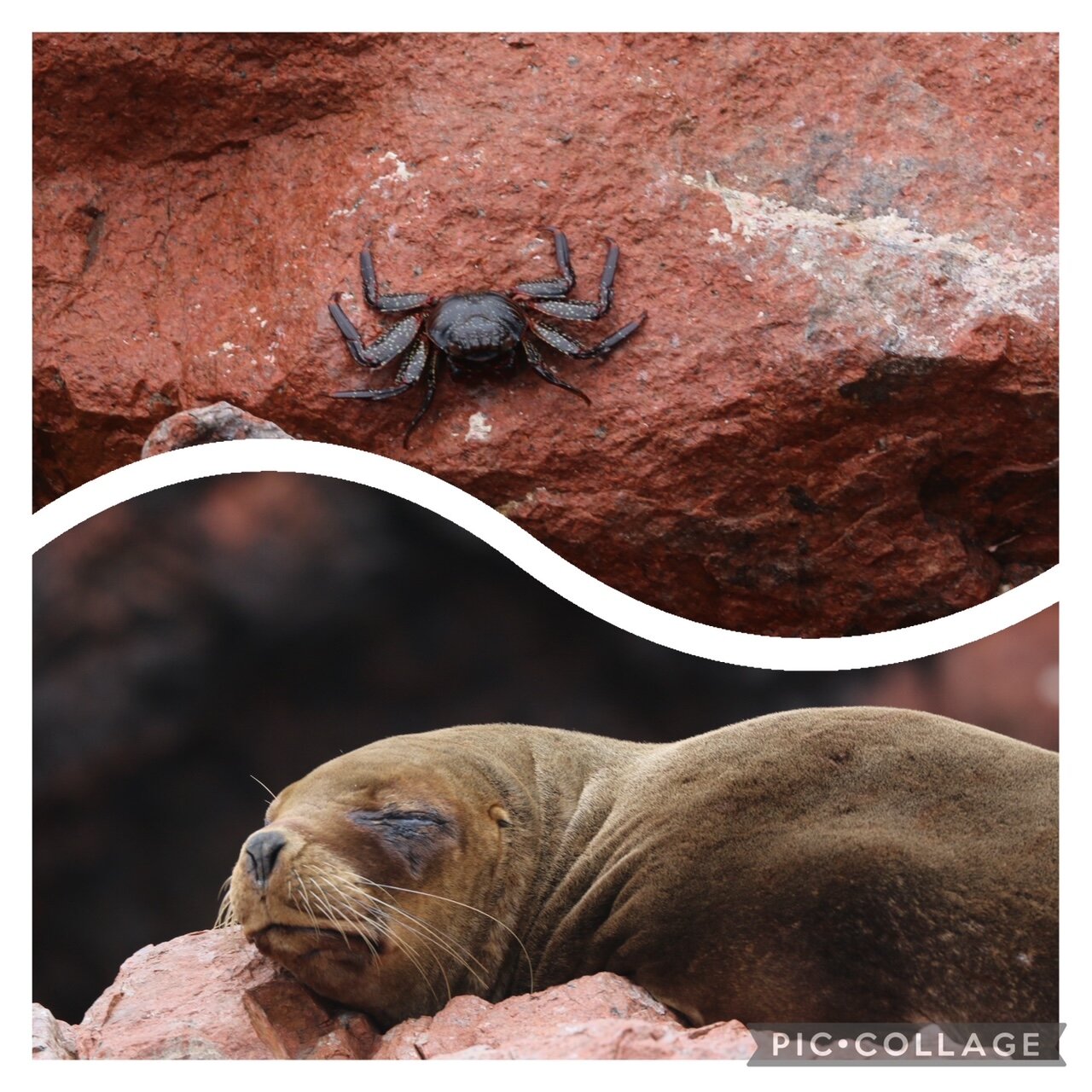 ad466a49-3ba8-415e-b290-2b9ca62a017e.jpg ad466a49-3ba8-415e-b290-2b9ca62a017e.jpg