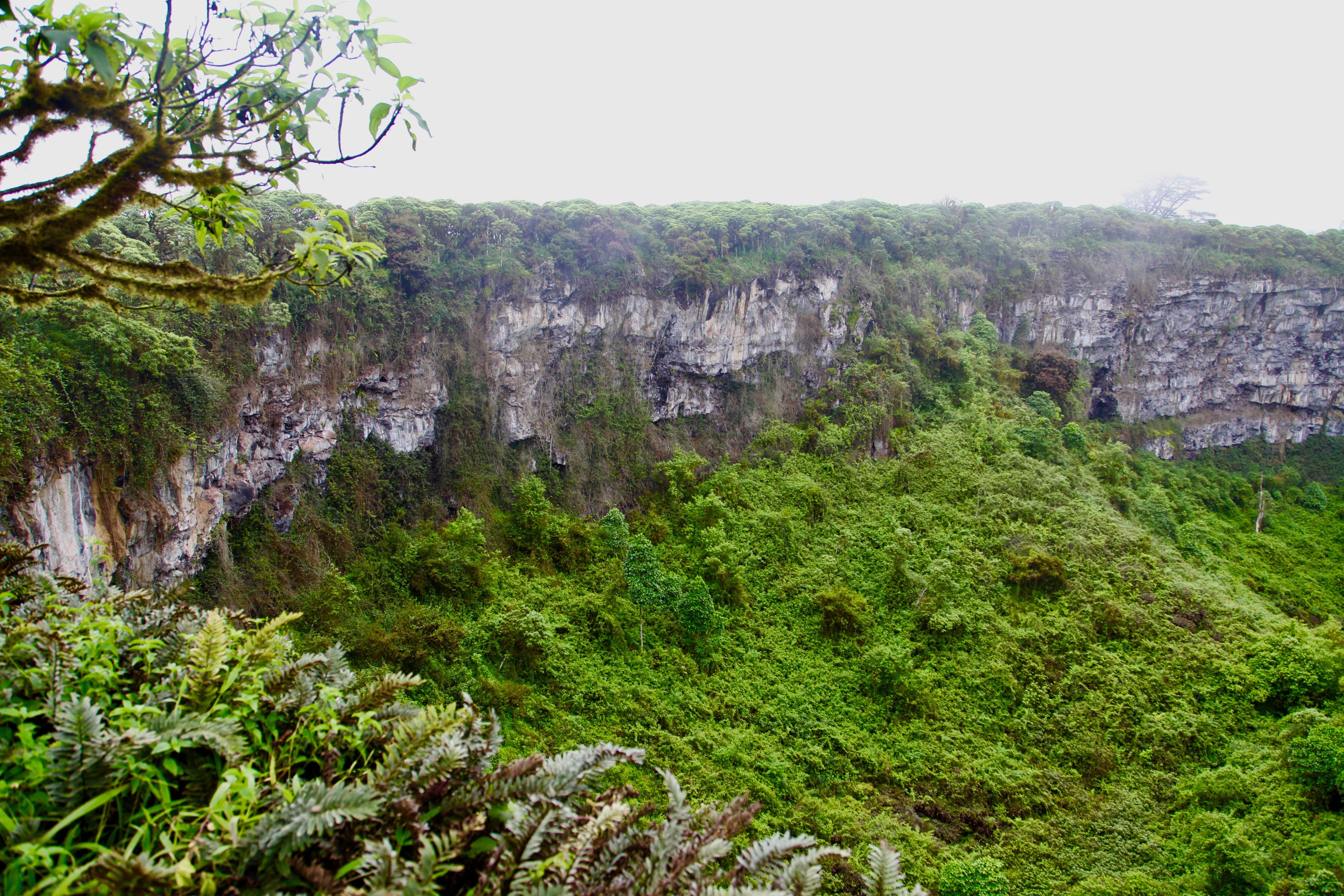 65600f40-57f7-4fef-ac1f-1a48124a8a2c.jpg 65600f40-57f7-4fef-ac1f-1a48124a8a2c.jpg