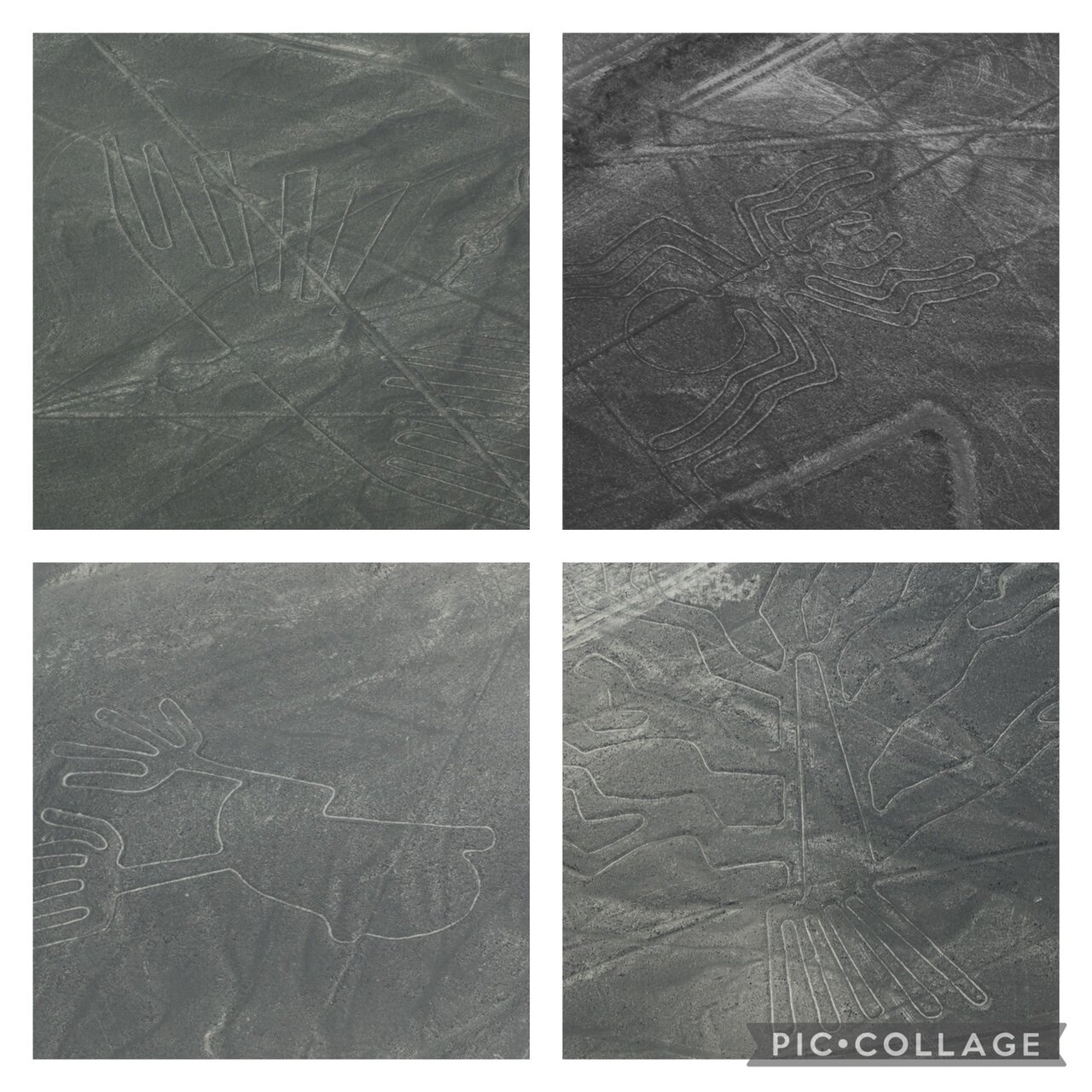 1c7aebd3-aef1-48a0-80f1-e510292274c0.jpg 1c7aebd3-aef1-48a0-80f1-e510292274c0.jpg