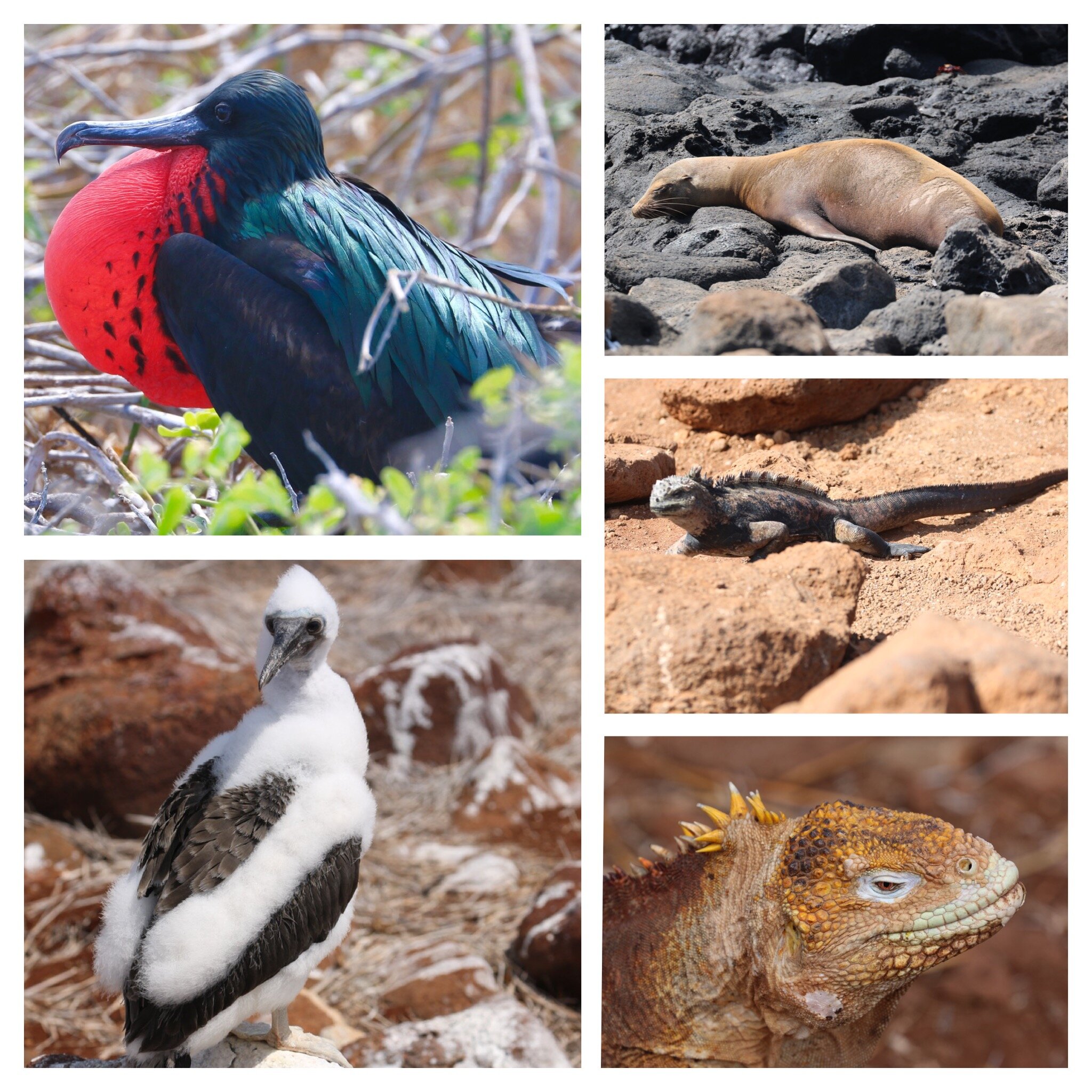 7f2682cb-1e10-4240-894f-dfa6b53a2d2d.jpg 7f2682cb-1e10-4240-894f-dfa6b53a2d2d.jpg