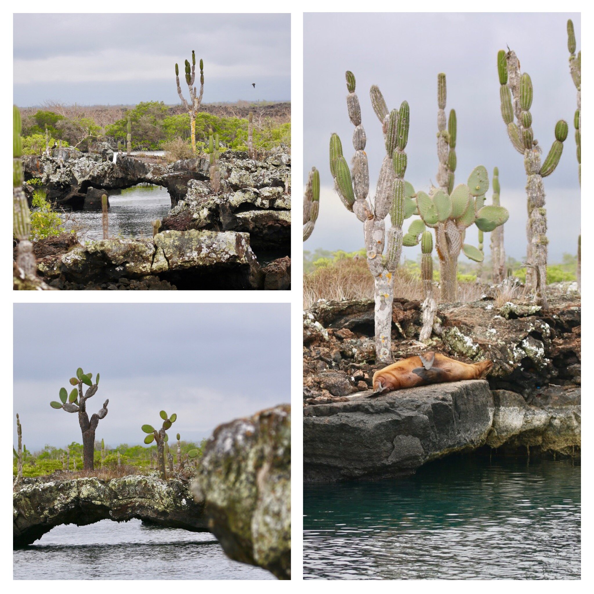 c5379de2-088f-4805-8ece-8c4dad7b25e2.jpg c5379de2-088f-4805-8ece-8c4dad7b25e2.jpg