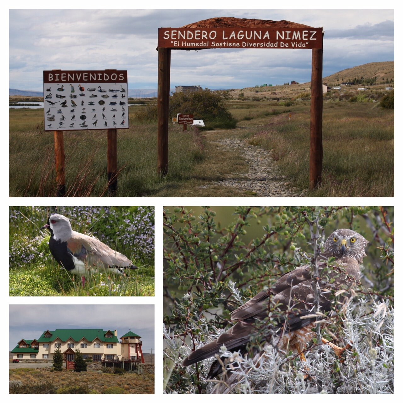 41d5fd22-661b-4c94-8ef0-228a334cff51.jpg 41d5fd22-661b-4c94-8ef0-228a334cff51.jpg