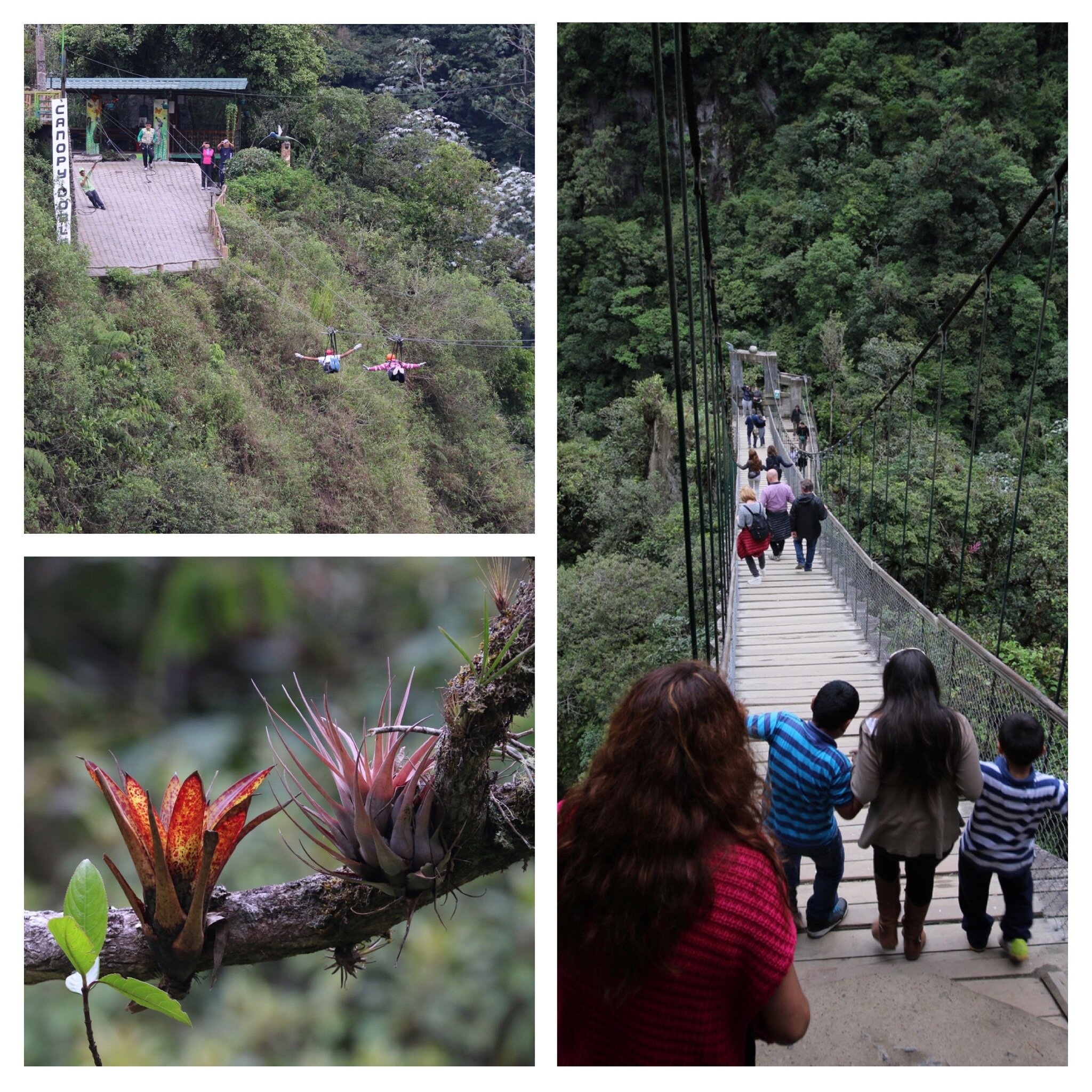 img_8069.jpg img_8069.jpg