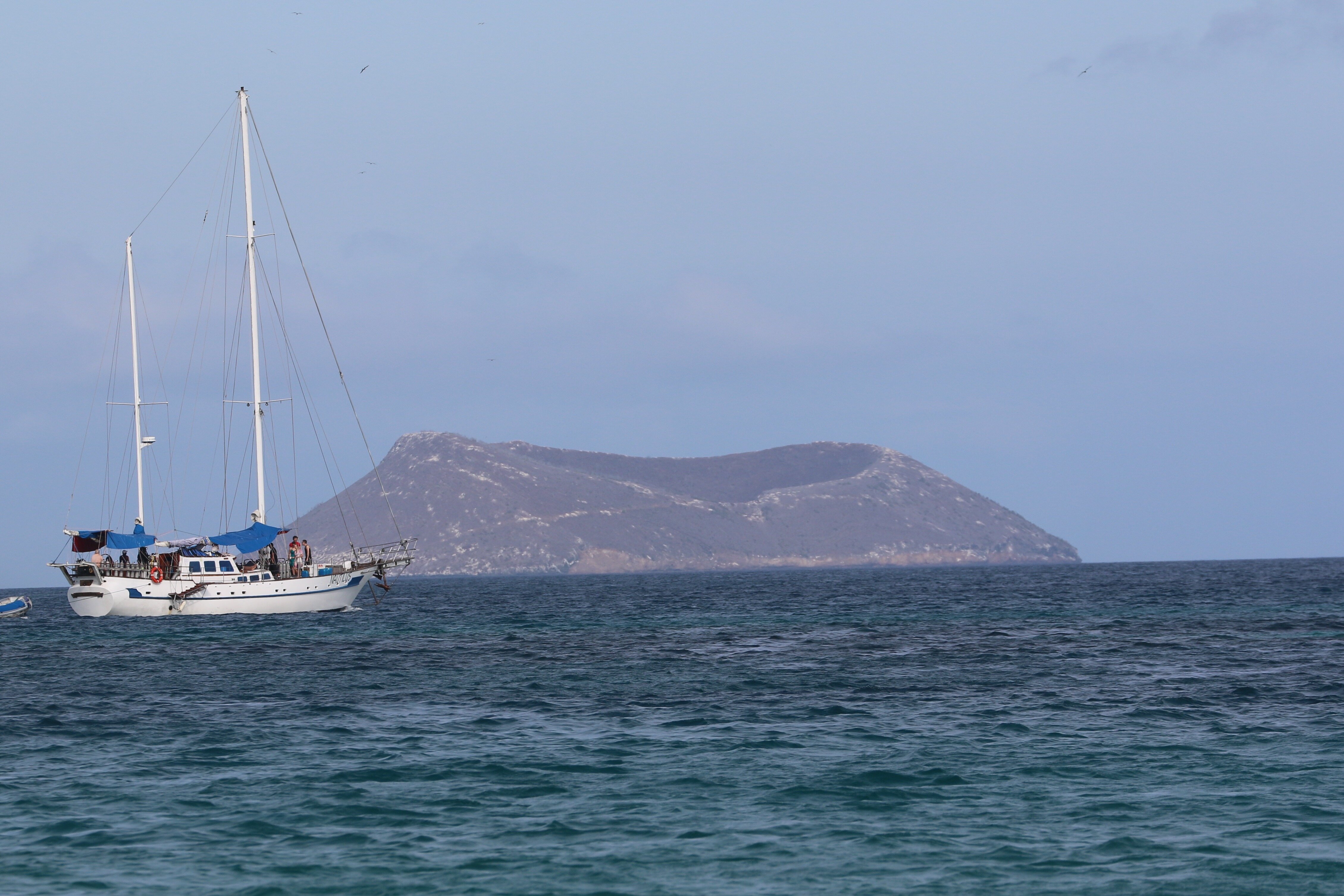 26af29d8-4fa9-49d7-9bce-fd73de909b37.jpg 26af29d8-4fa9-49d7-9bce-fd73de909b37.jpg