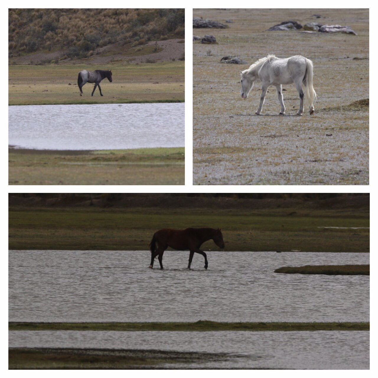 img_8057.jpg img_8057.jpg