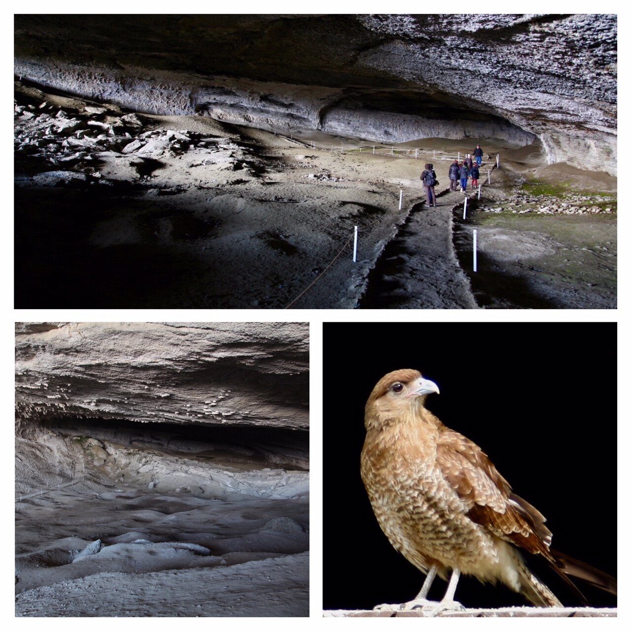 d1cf467b-754f-41a6-8684-8e92d0671fdf.jpg d1cf467b-754f-41a6-8684-8e92d0671fdf.jpg