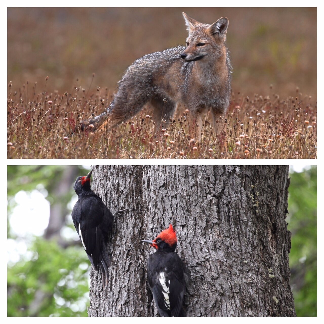 525df7d8-bef4-4385-81ac-84f31d6e0251.jpg 525df7d8-bef4-4385-81ac-84f31d6e0251.jpg