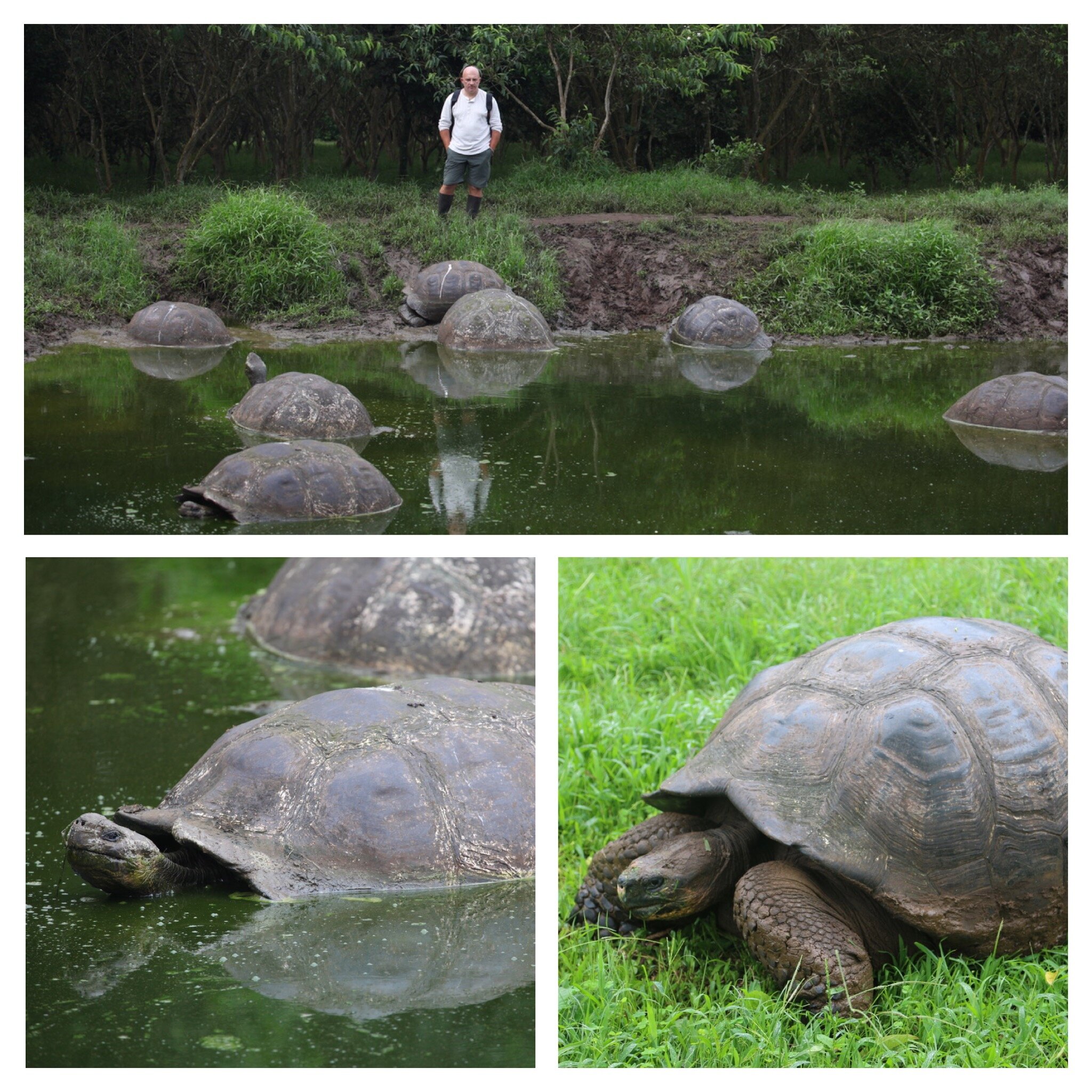 69995120-700f-4adb-8591-e3ffe6c29501.jpg 69995120-700f-4adb-8591-e3ffe6c29501.jpg