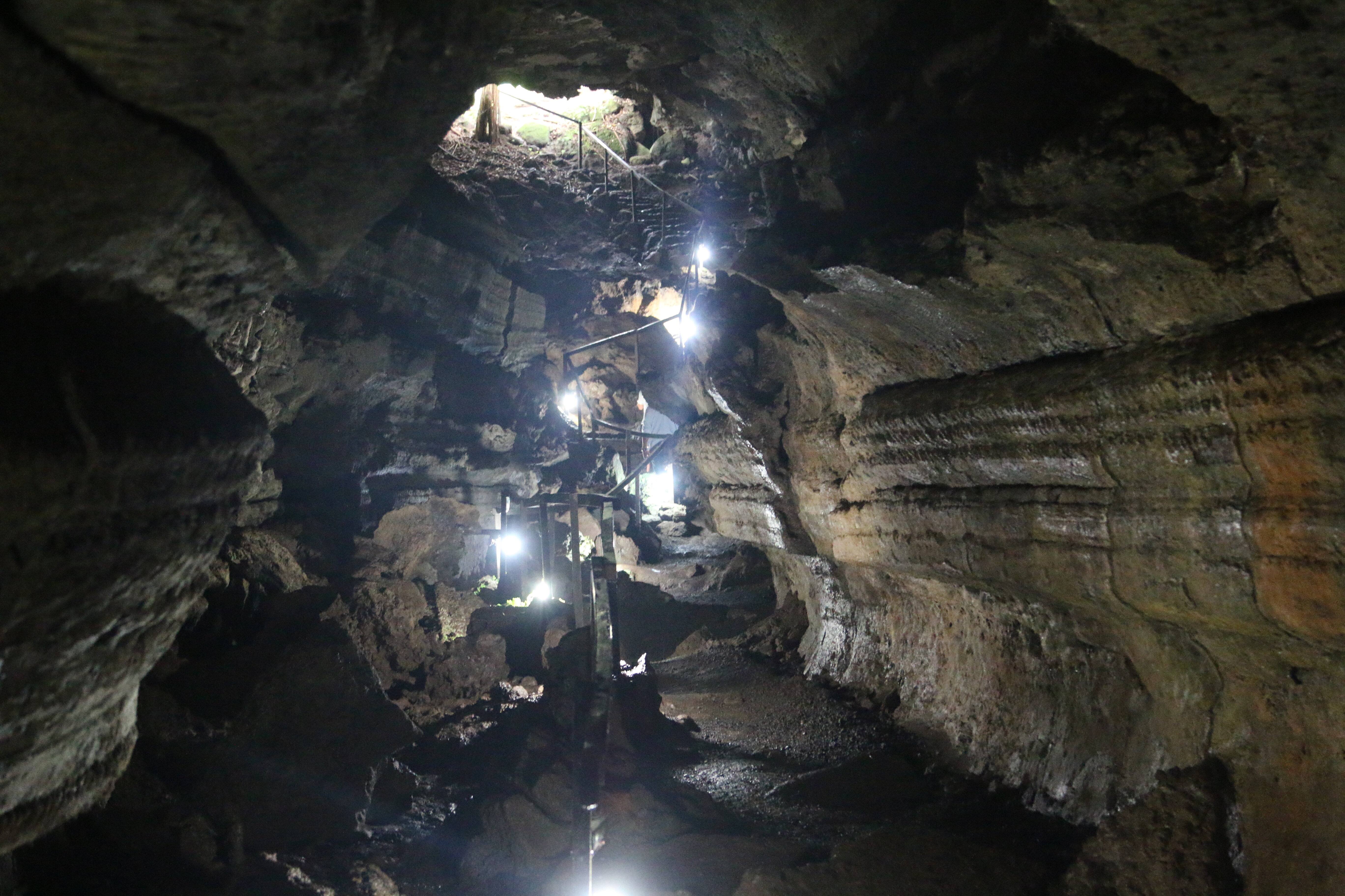 03fa7904-5a41-4cdd-87da-4d9607649369.jpg 03fa7904-5a41-4cdd-87da-4d9607649369.jpg