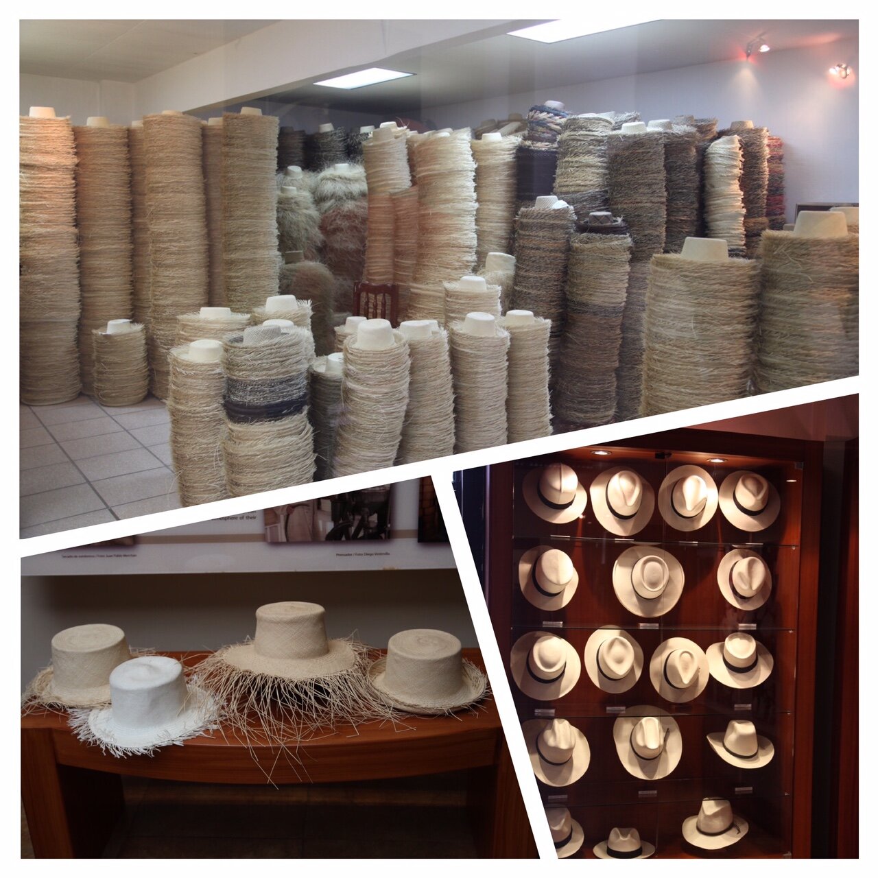 img_0220.jpg img_0220.jpg