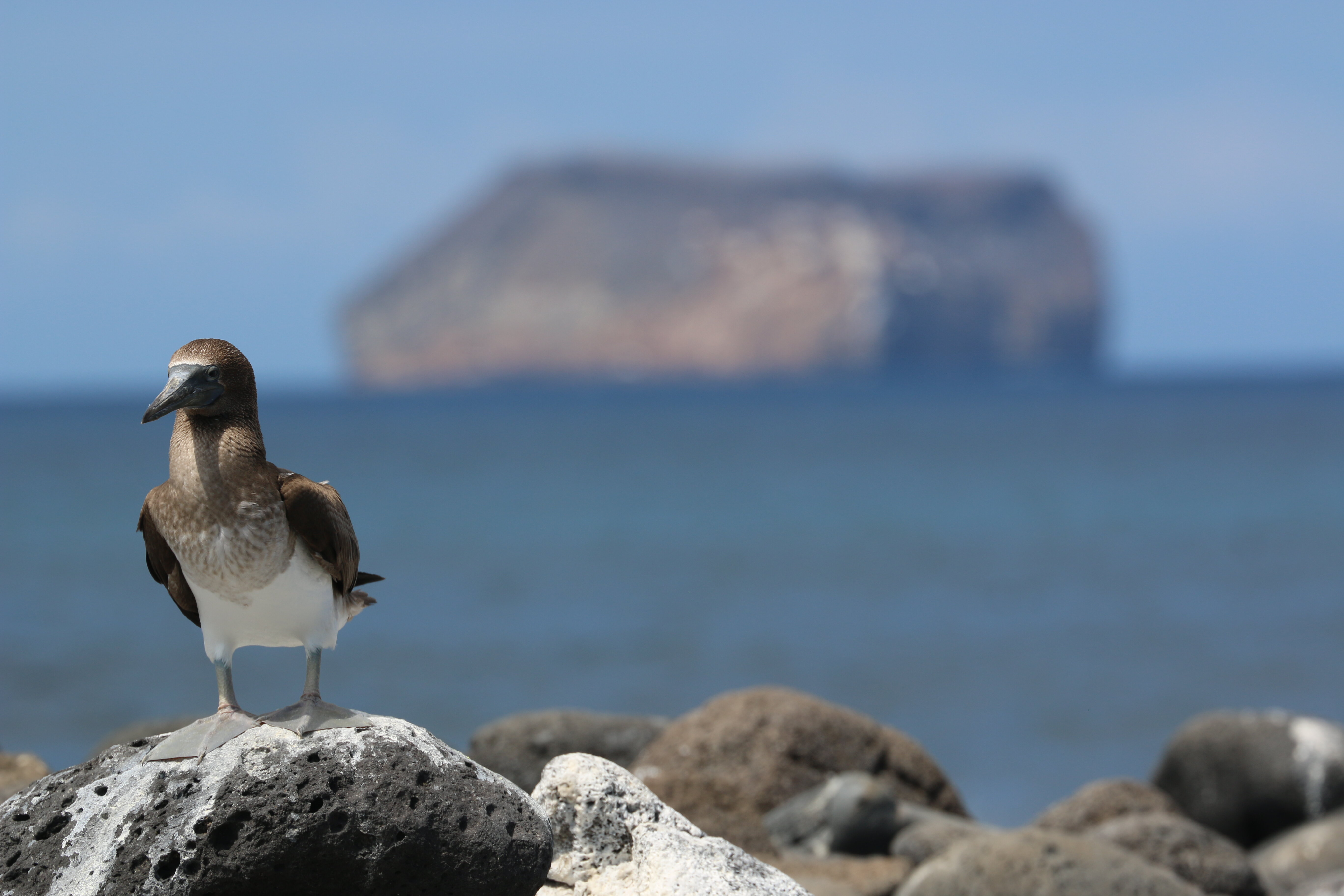 edafa5df-2be3-48c3-a721-45026ddbd7d3.jpg edafa5df-2be3-48c3-a721-45026ddbd7d3.jpg