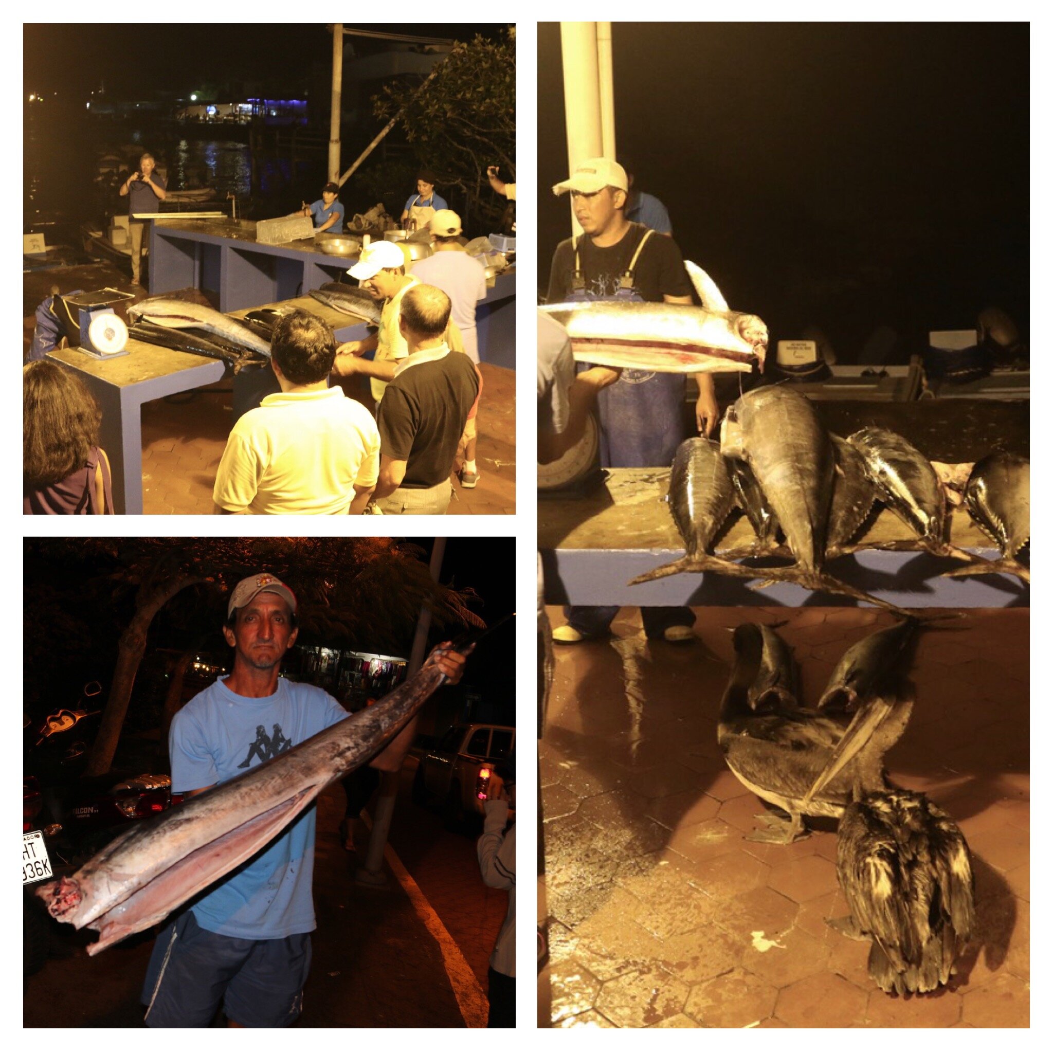 b51d0484-4e55-47a3-ad2a-47150741e3dc.jpg b51d0484-4e55-47a3-ad2a-47150741e3dc.jpg