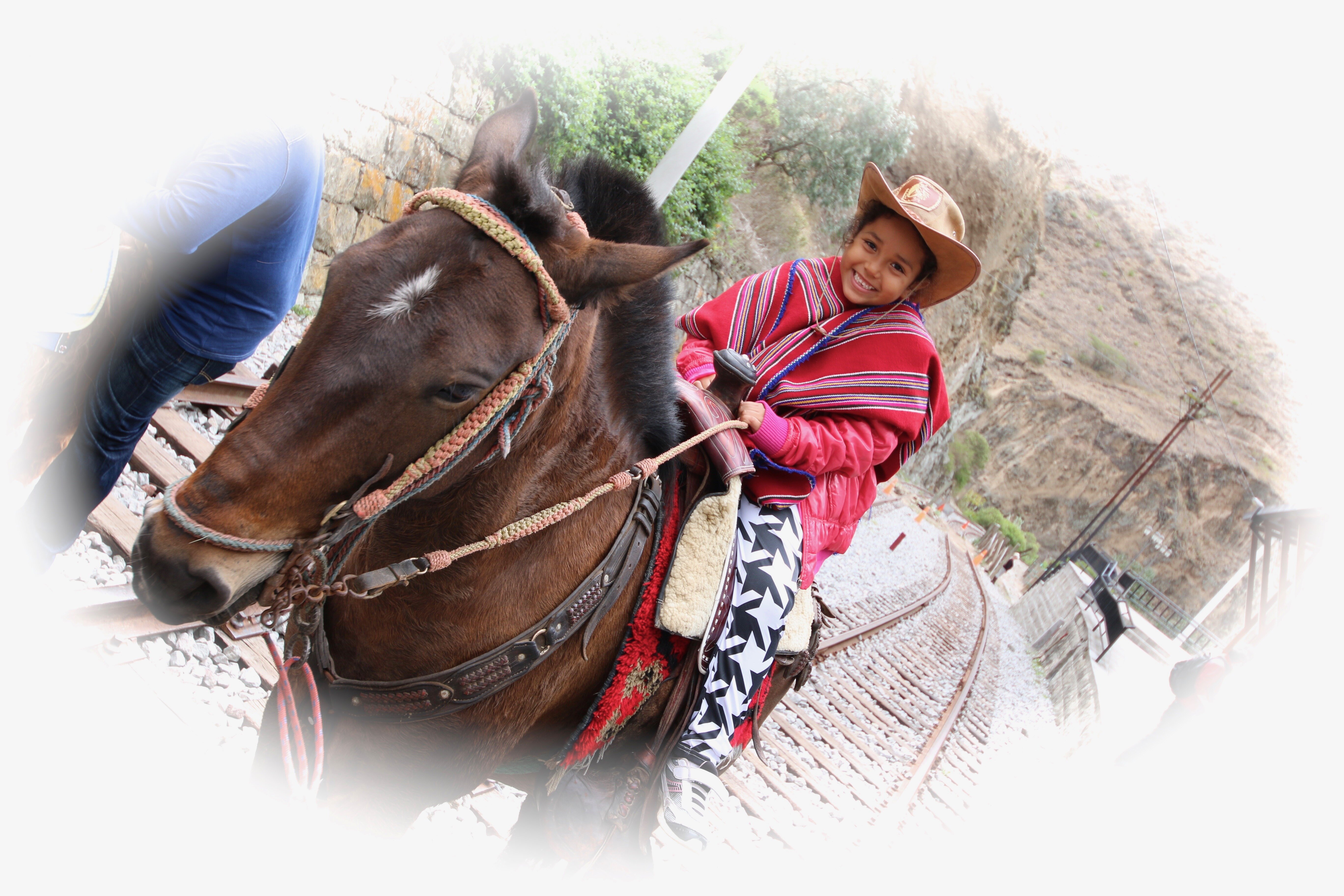 img_3270.jpg img_3270.jpg