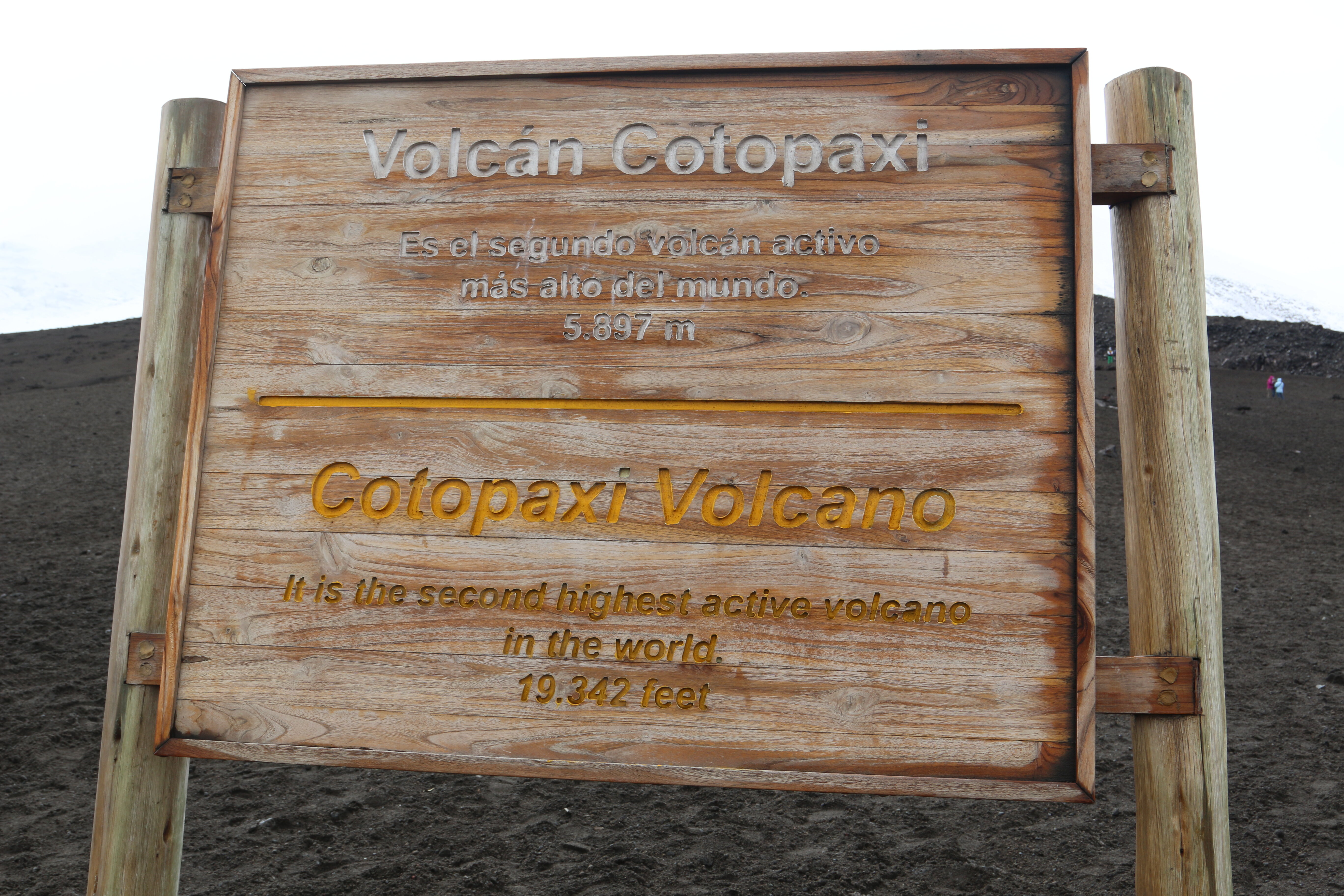 img_3009.jpg img_3009.jpg