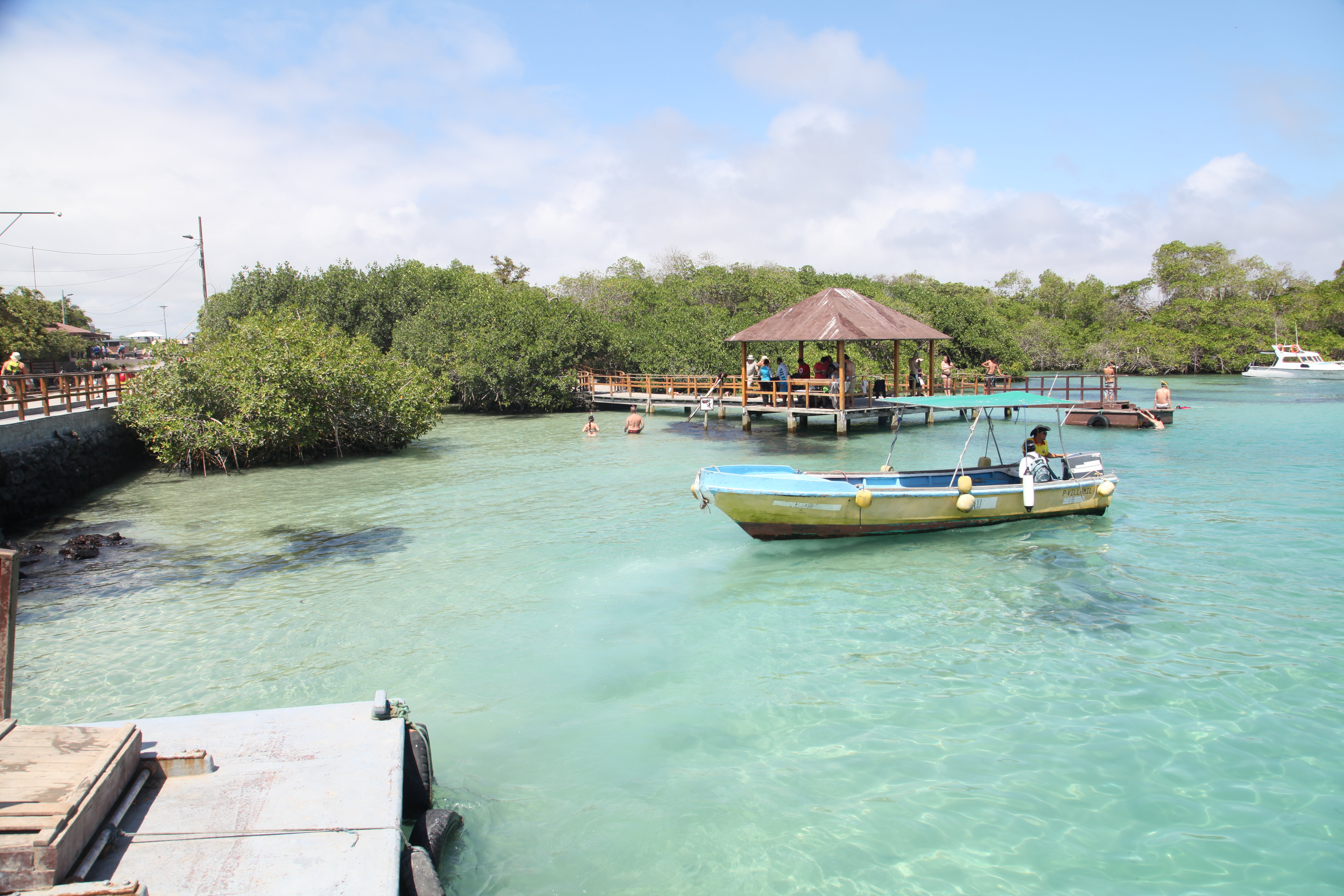 469da604-3c00-429a-9383-8d277ee1d597.jpg 469da604-3c00-429a-9383-8d277ee1d597.jpg