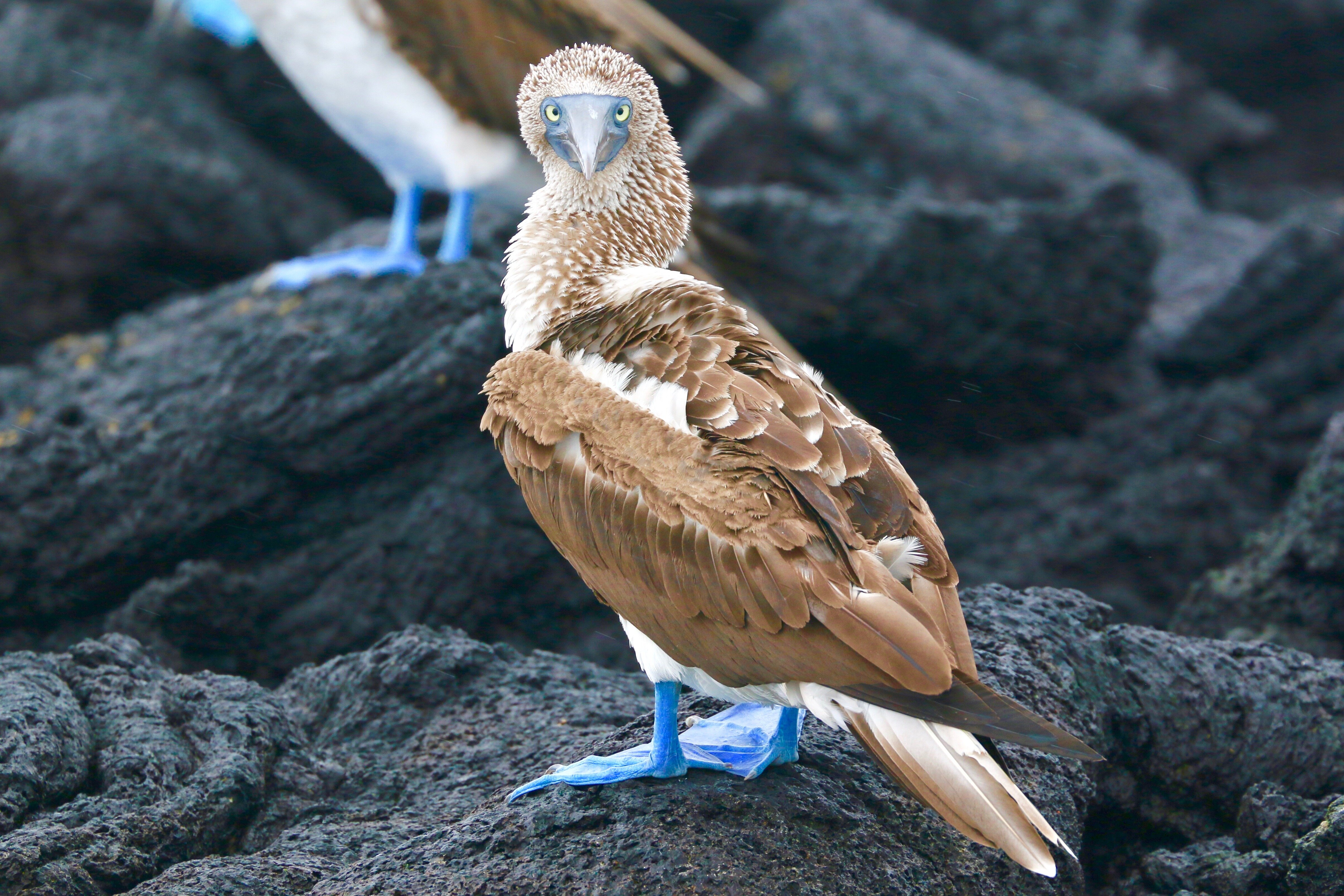 2ddcccdc-0086-4c2c-8d69-74d0e9feb4ef.jpg 2ddcccdc-0086-4c2c-8d69-74d0e9feb4ef.jpg