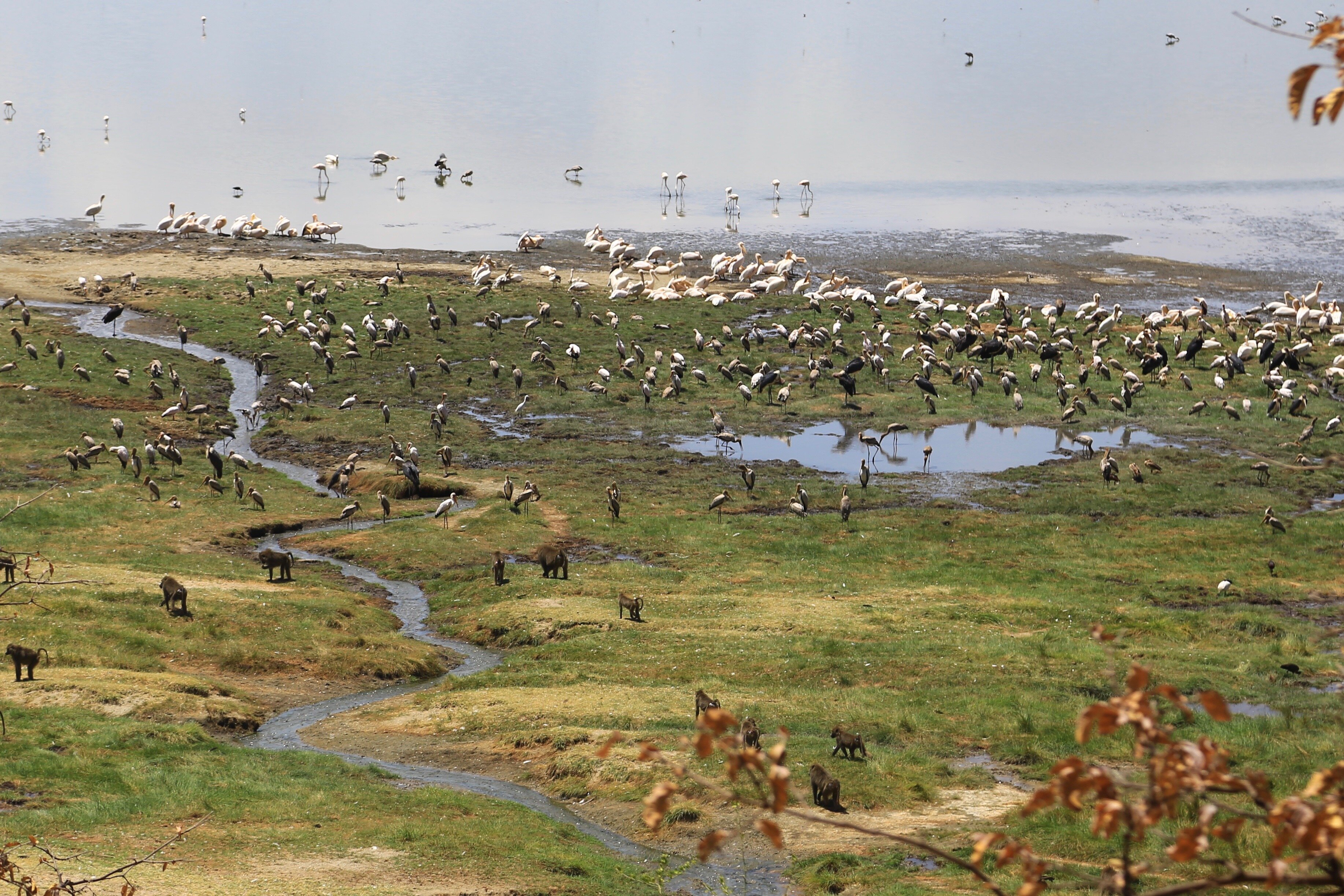 8eccfdf7-7c02-4182-8b9c-a5bca7d95ba3.jpg 8eccfdf7-7c02-4182-8b9c-a5bca7d95ba3.jpg