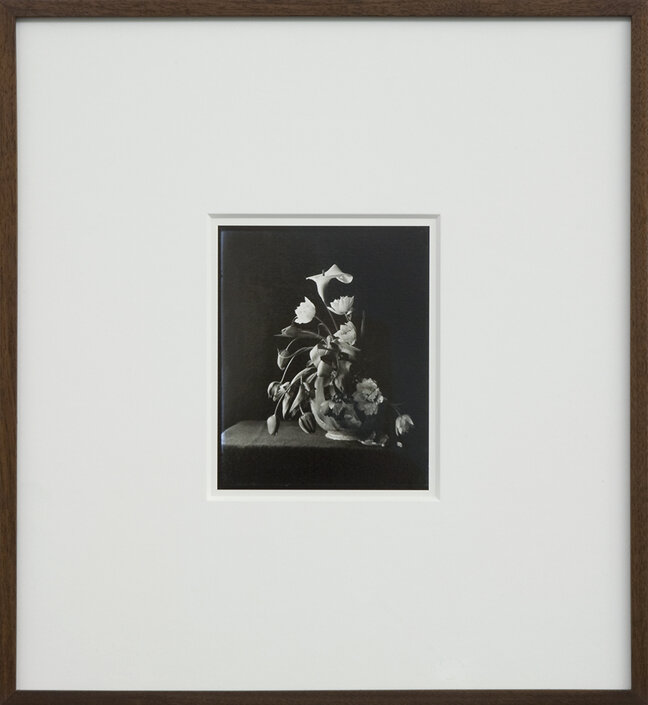 e6a90e77-3399-4860-ae79-b69573b6f6f4