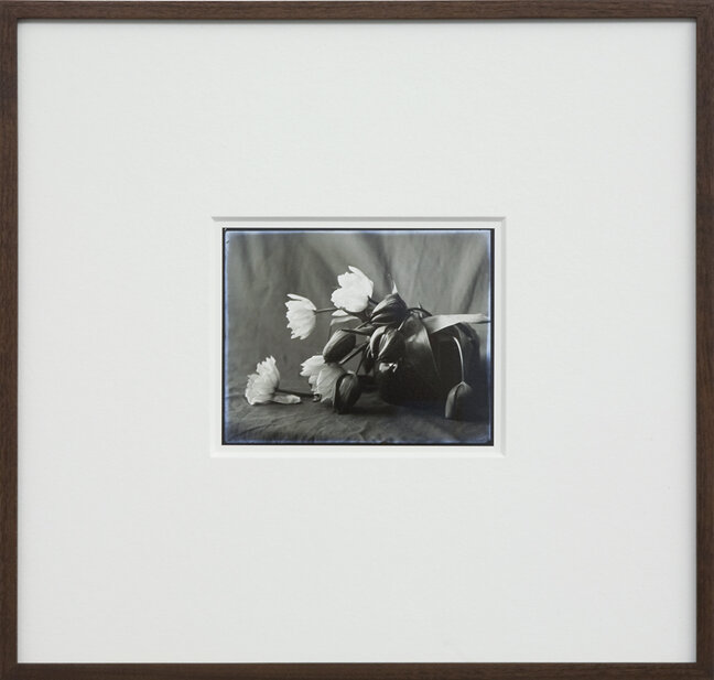 0fd9e825-869d-452a-80ba-98ba187d05cb