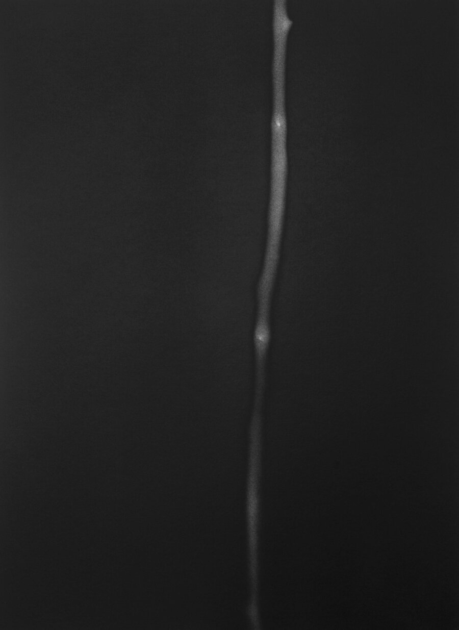 99c2f0e4-0e7b-4689-8f31-932b3453725d 99c2f0e4-0e7b-4689-8f31-932b3453725d