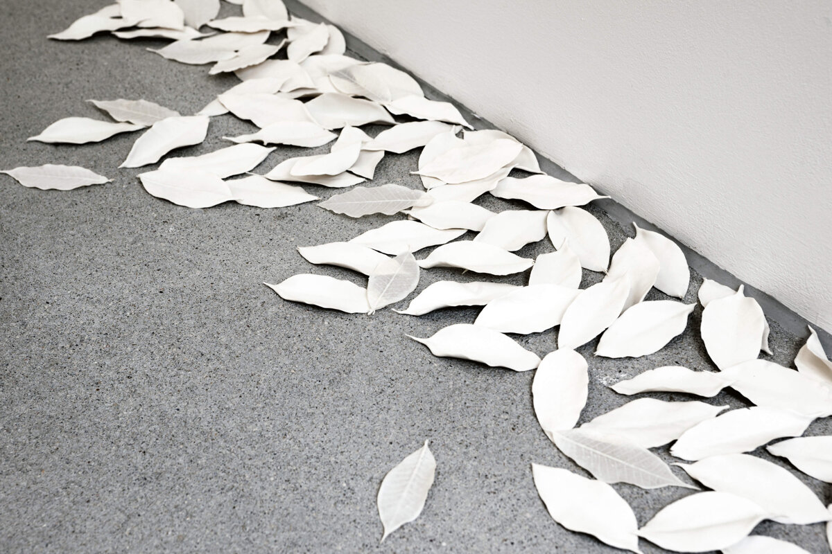 4237da83-89ee-4f8e-b289-dba01974051d